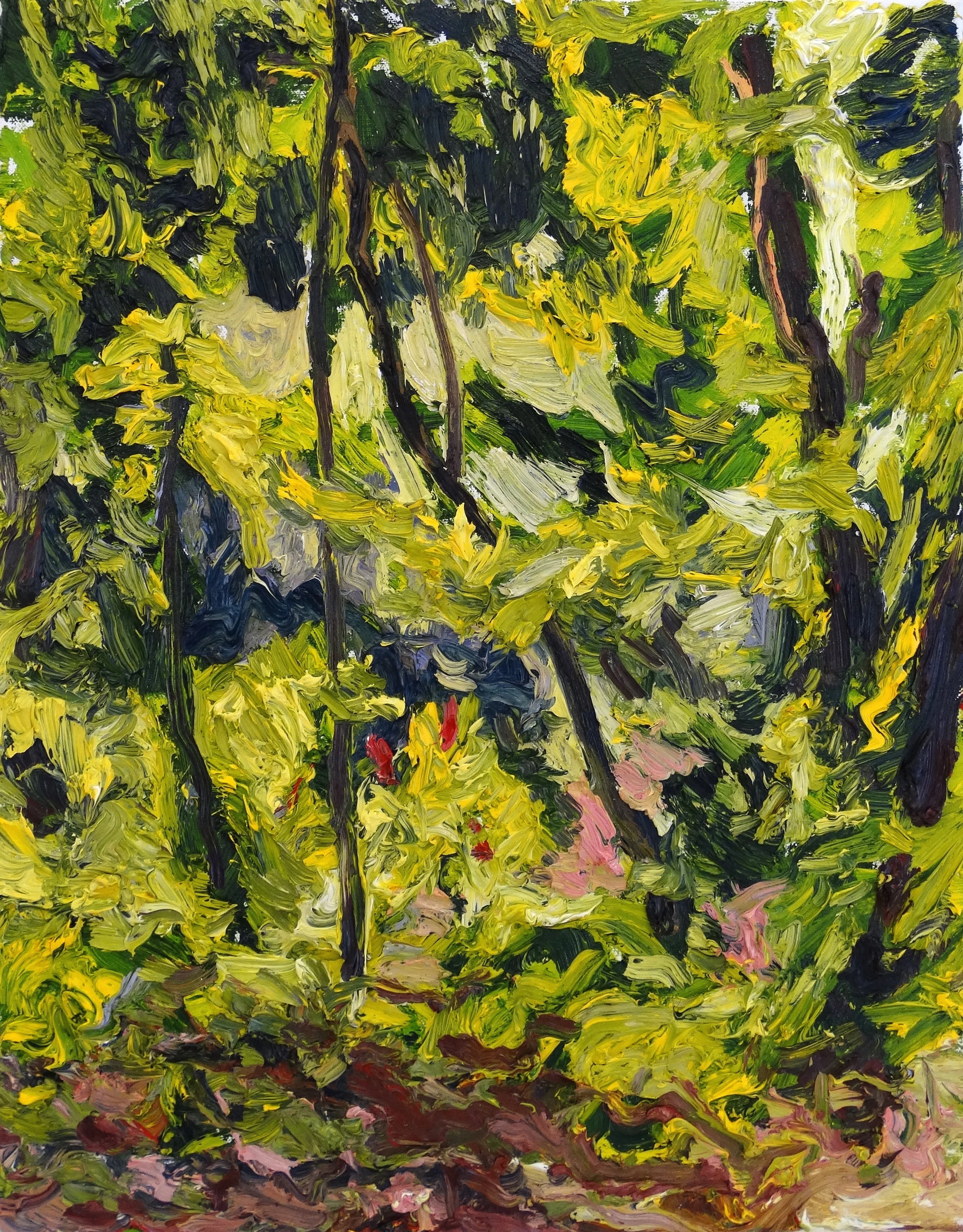 Bosque de buen dia.JPG