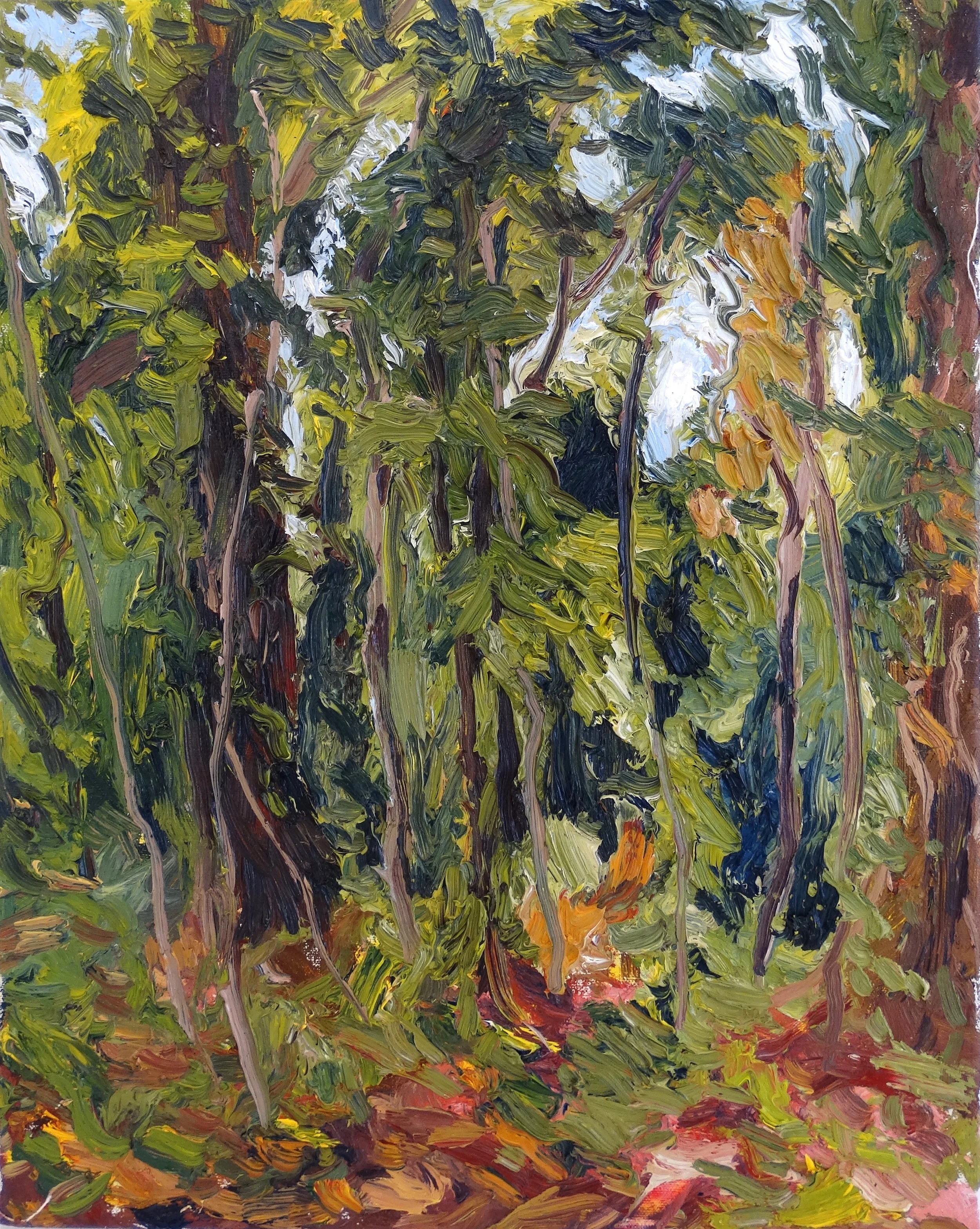 Bosque de una tarde posible.JPG