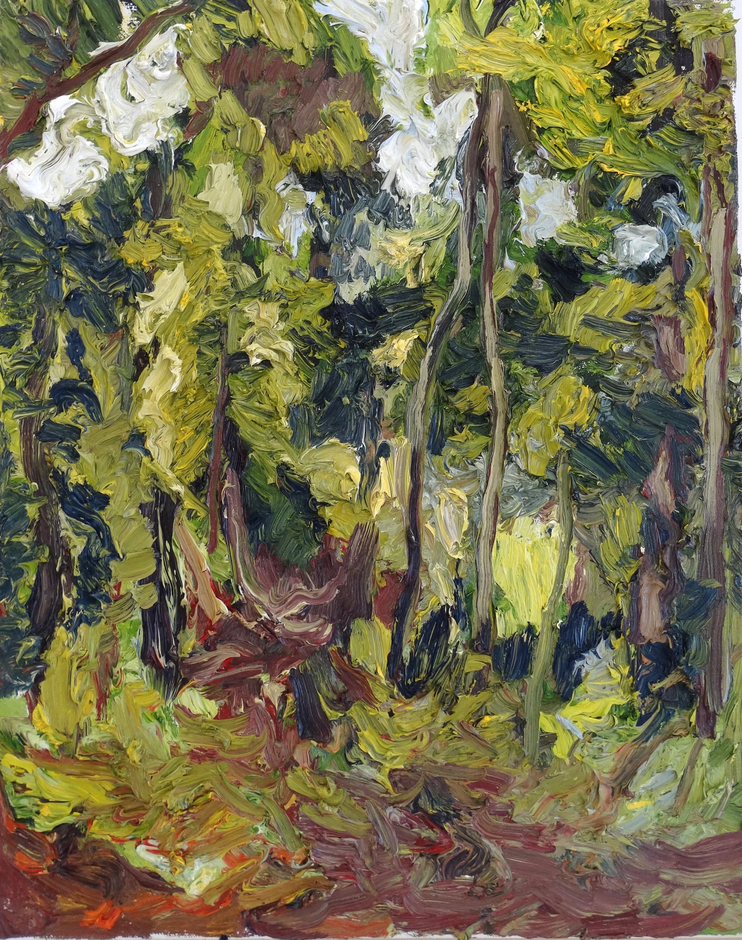 Bosque de las muchas voces.JPG
