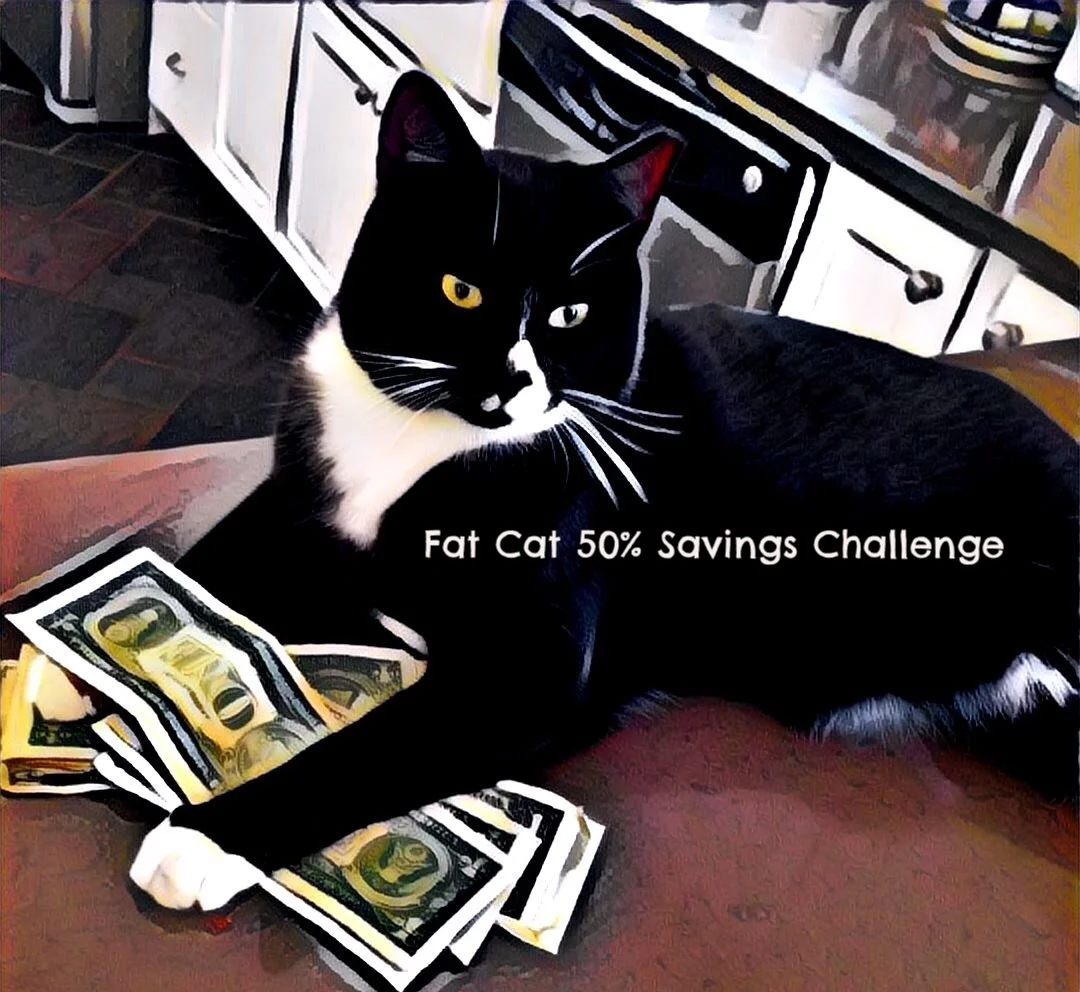 FAT CAT 50% SAVINGS CHALLENGE p1 stays lean to save you money. Because we are lean we are happy to take on any of the proverbial "Fat Cats" out there. Here is how our challenge works: If you are currently using Computer Science Corporation (CSC), Fiserv, Ingenium, Policy Administration System (PAS), Policy Management Systems Corporation (PMSC), RSG Reinsurance System , SAP, SICS- Reinsurance Management Solutions, XyberNET or any other major provider for your insurance related data management needs you are eligible for the challenge. You send us your current contract, then our team will perform a full system review of your entire IT and data management system. These reviews have saved many companies significant sums of money by finding gaps in data, redundancy, under-appropriated reinsurance, and more. If you can not save 50% of what you are paying currently by switching to the p1 Service Line the results of the full system review are yours to keep for free. Simple, effective and will save you significant dollars regardless of the outcome! 