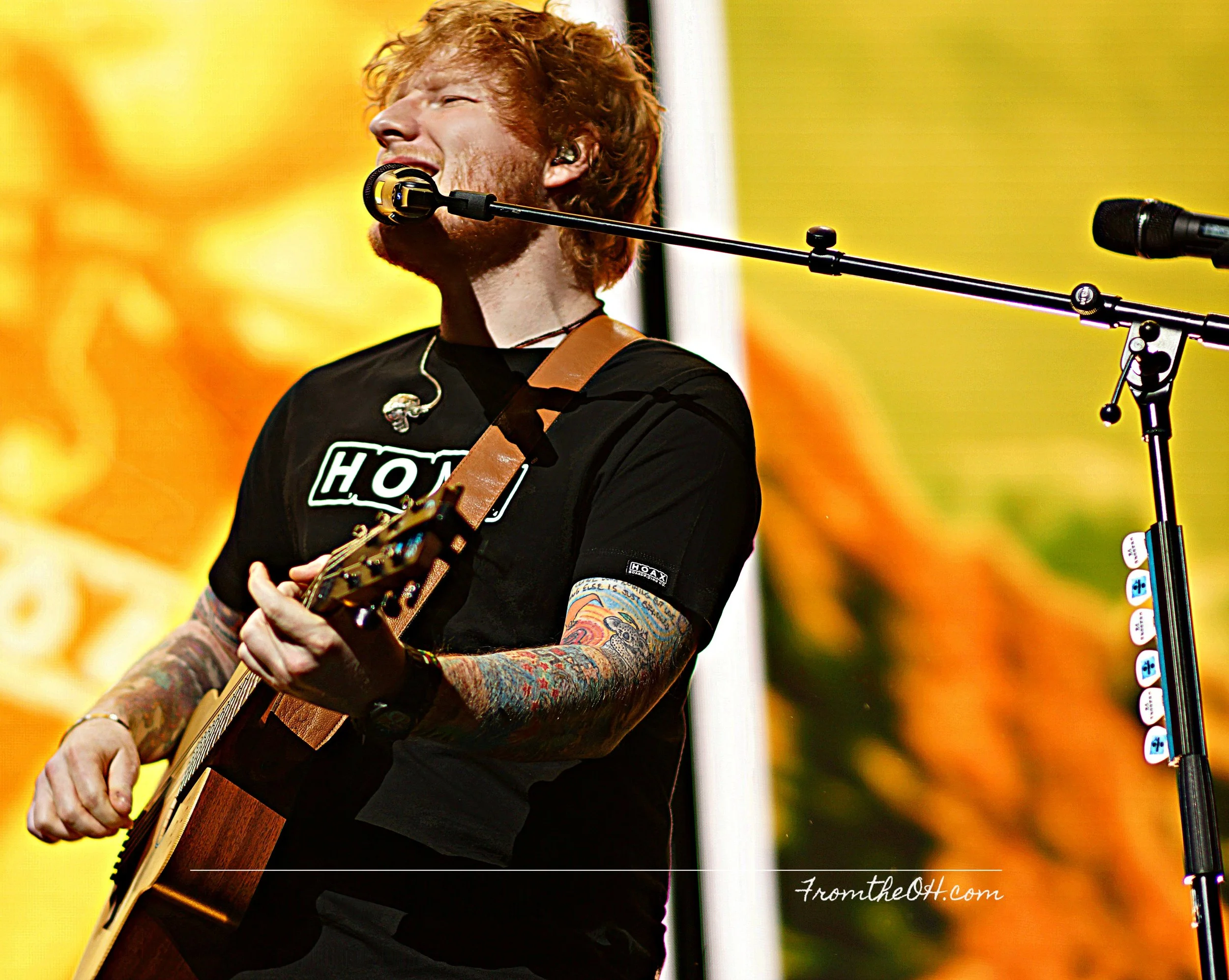 Ed Sheeran 2.jpg
