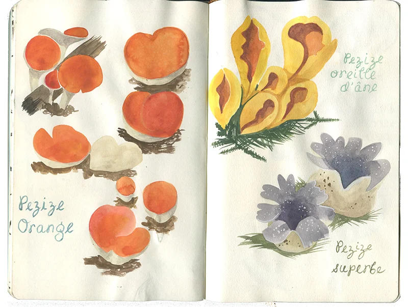 sketchbook-3.jpg