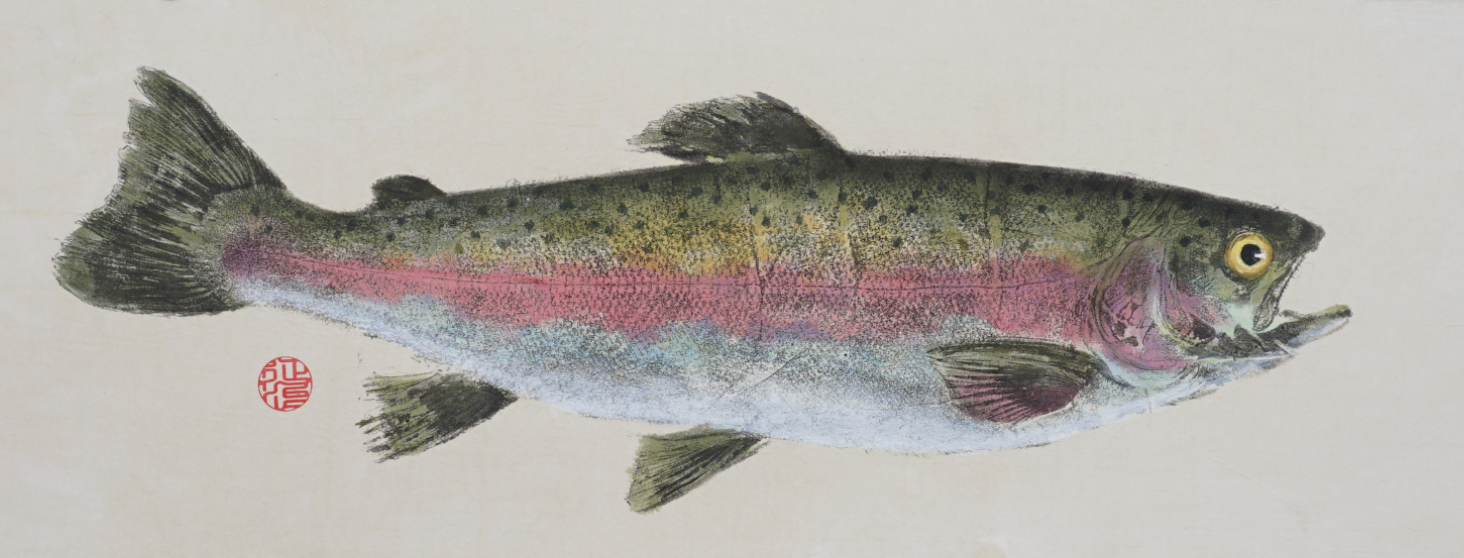 Rainbow Trout