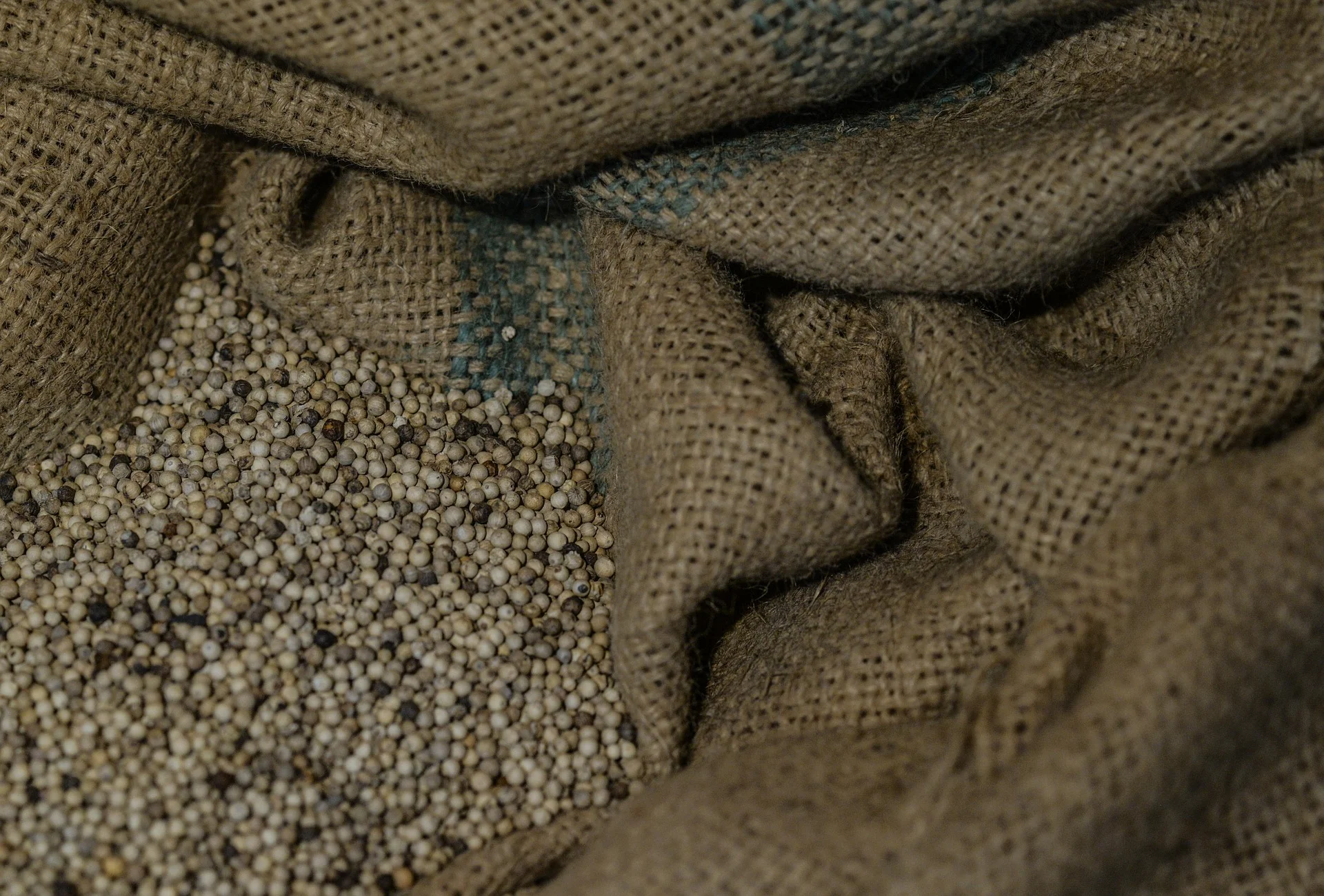 pepper-2881185_1920.jpg