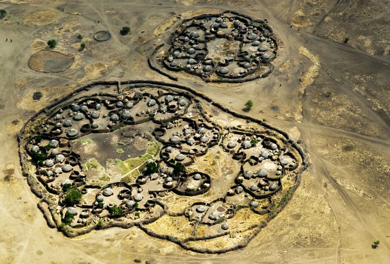 LC_Karamoja_Cattle.jpg