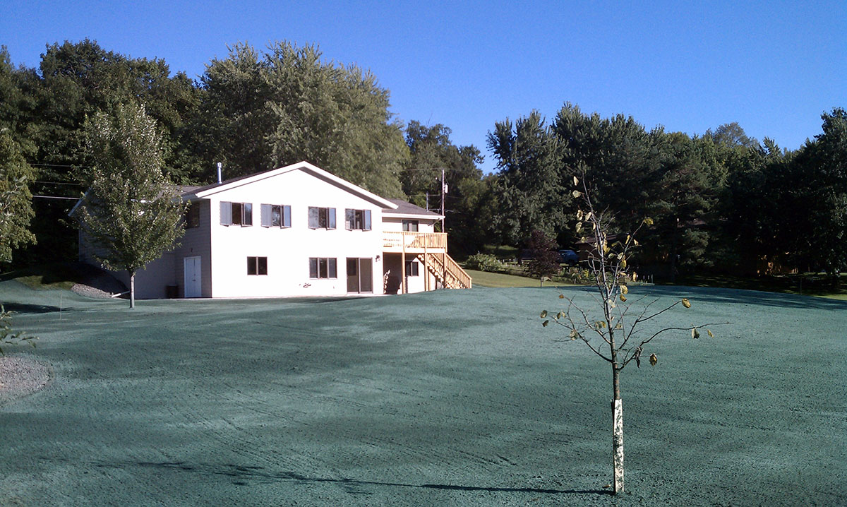 lawn seed sod 1.jpg
