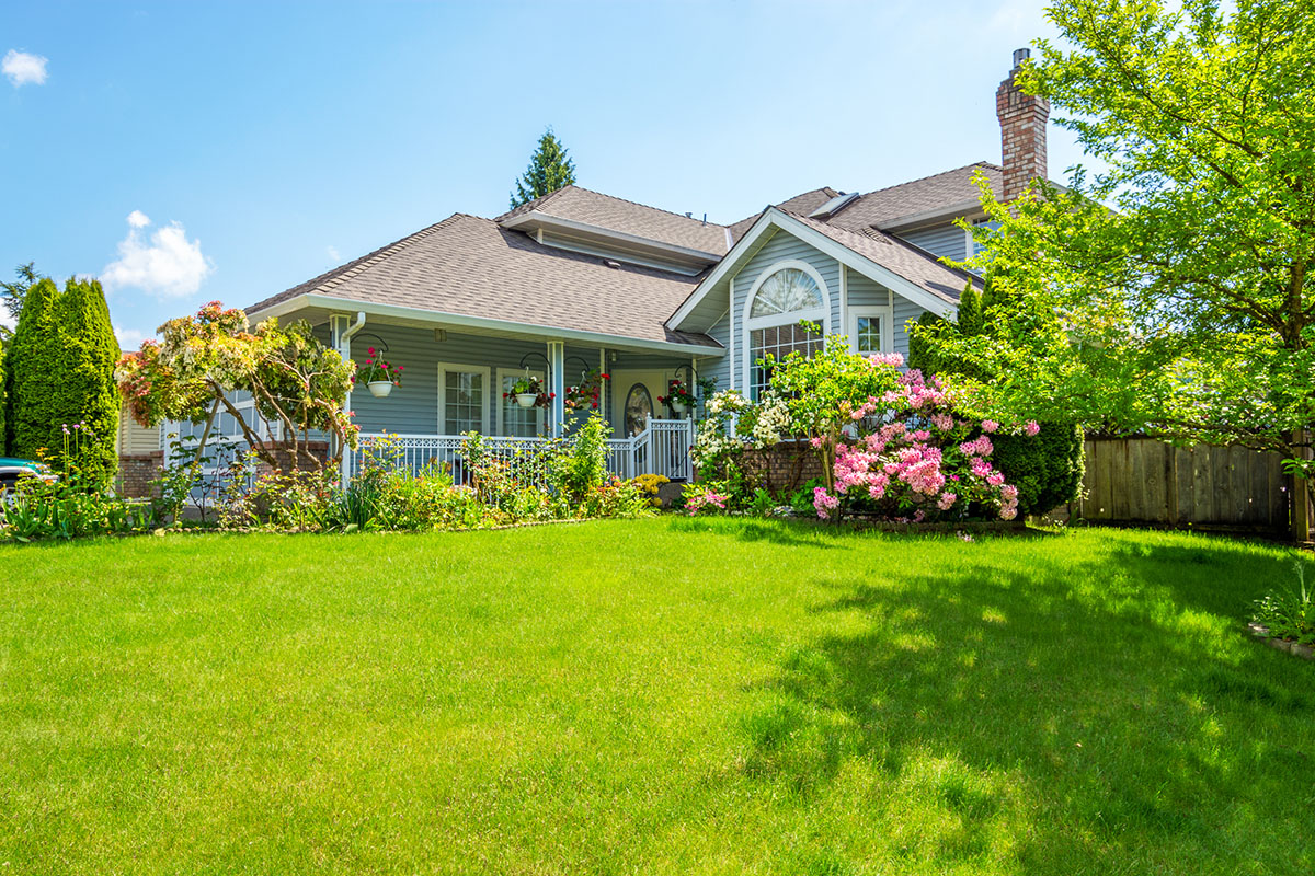 Spring Cleanup: All turf areas that permit it will be power raked. The grassy material will be blown, swept or raked from the lawn. The entire turf area, shrubs, rock beds, driveways, curbs and patios with be cleaned free of all natural debris. The debris will be removed from the premises.