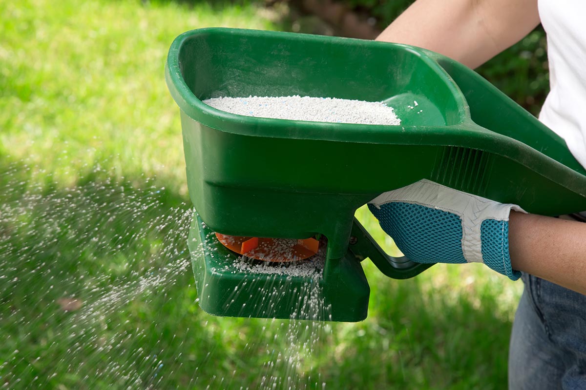 Fertilization Plan: We can set you up with a plan that will benefit your lawn’s needs!