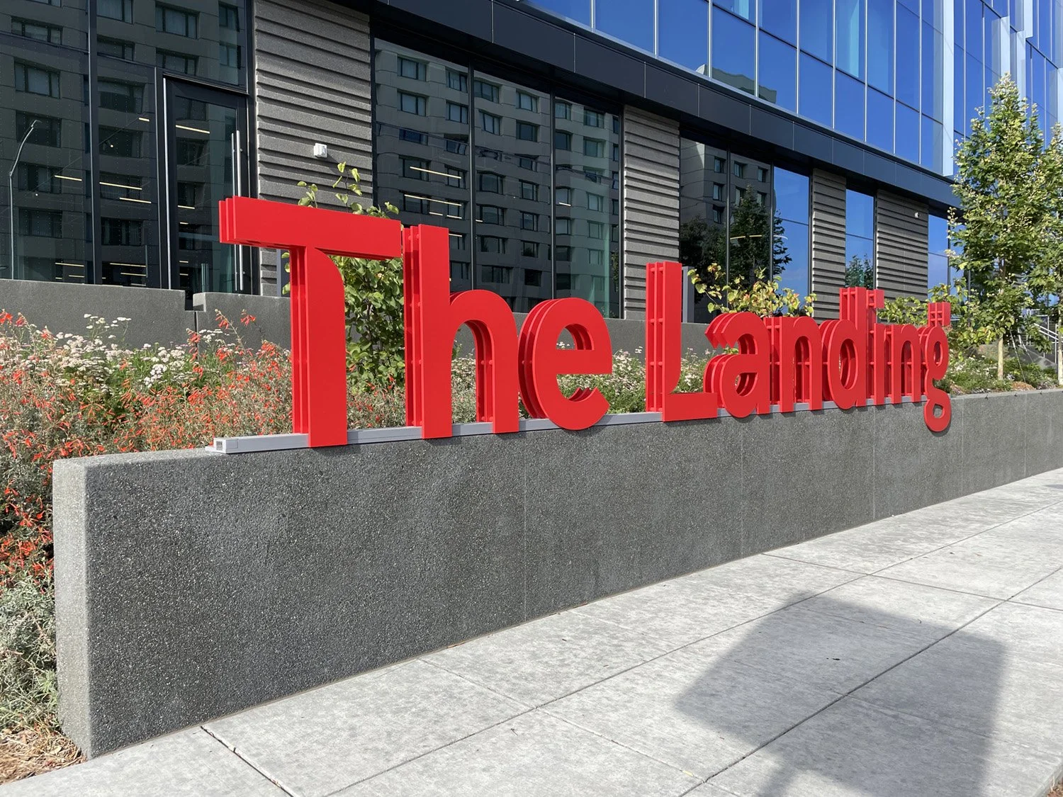 The Landing