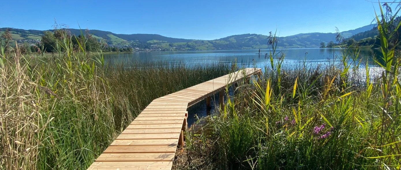 stygerzaeune_holzsteg_header.jpg