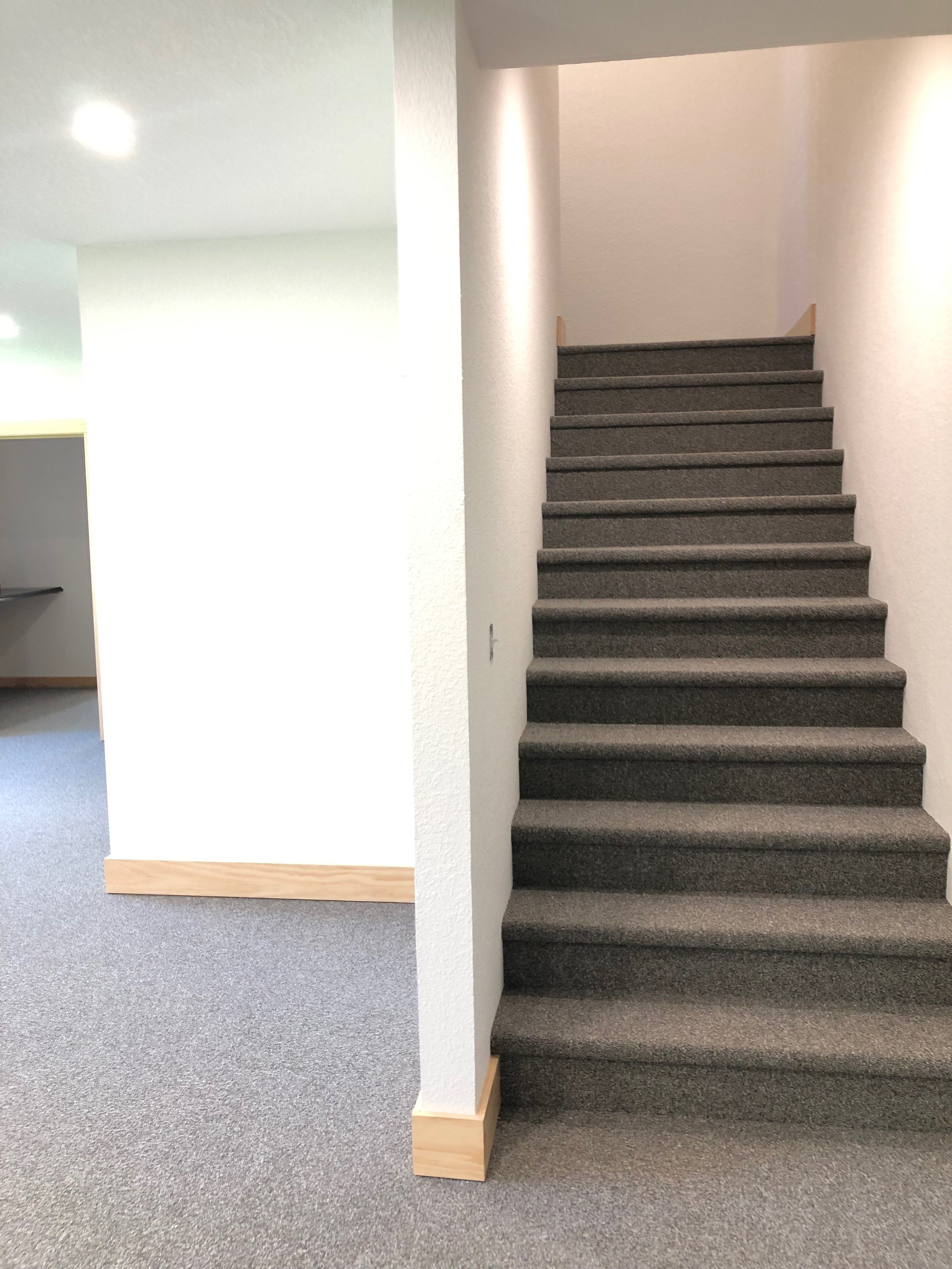 Carpet in stairwell