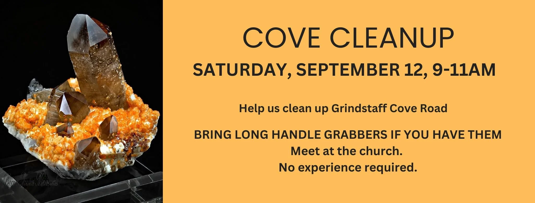 Cove Clean Up (18).jpg