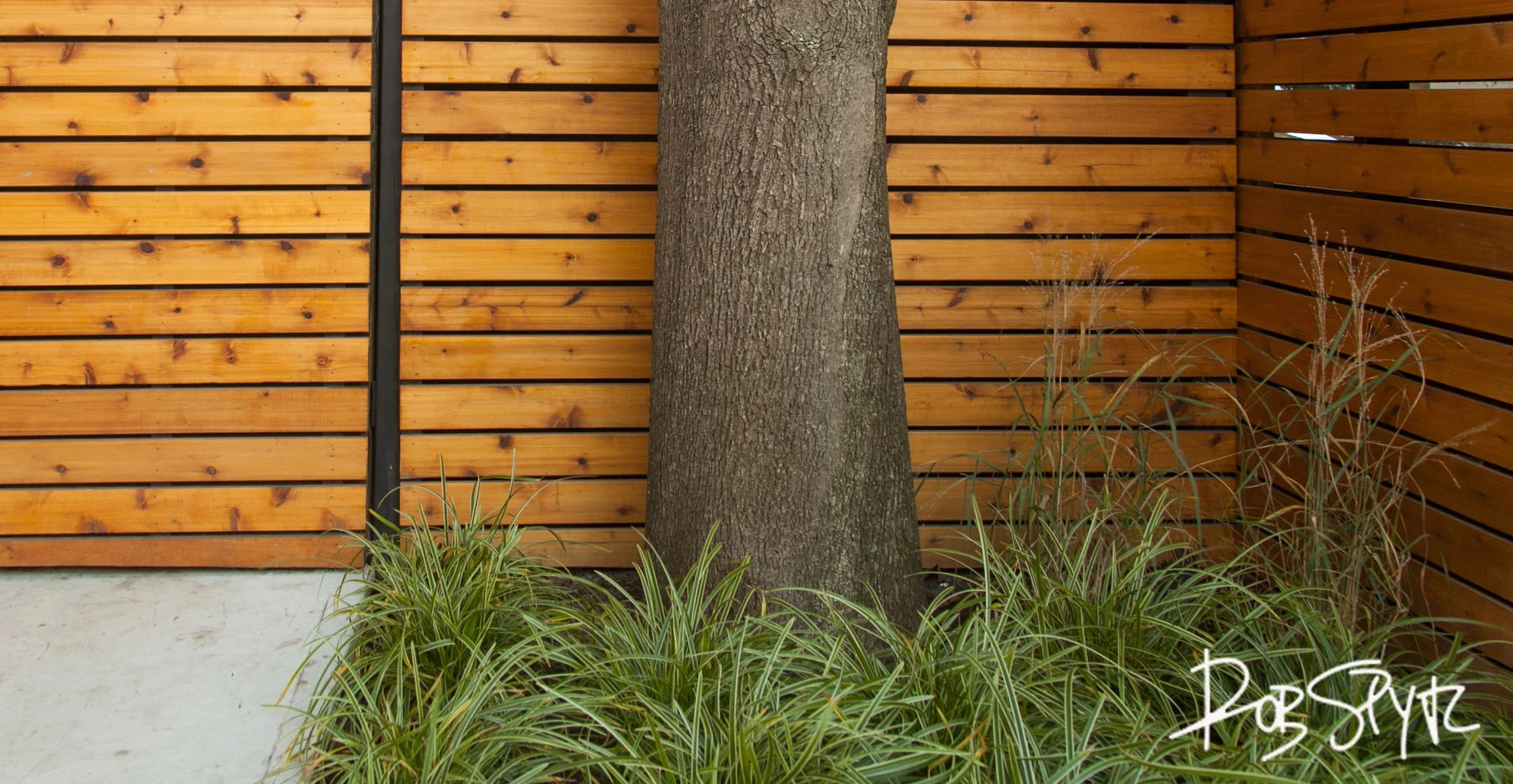 Japes Fence.JPG