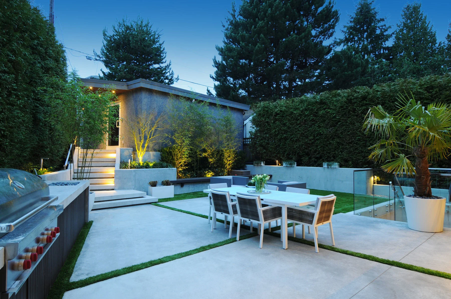 Yetarian Backyard.JPG