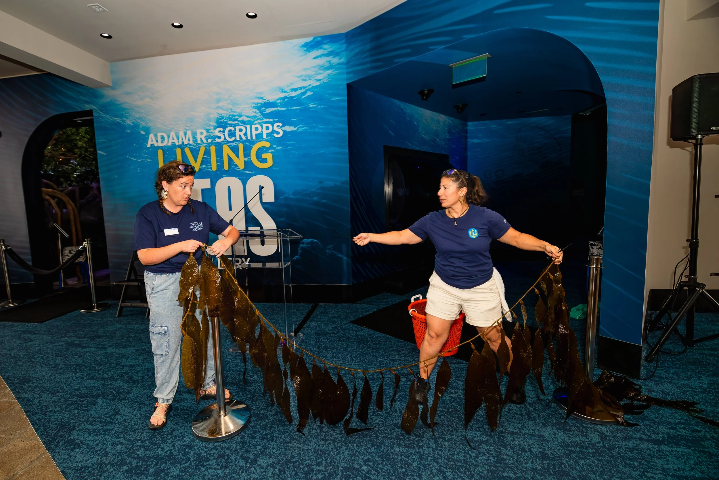 KelpCutting2025-101.jpg