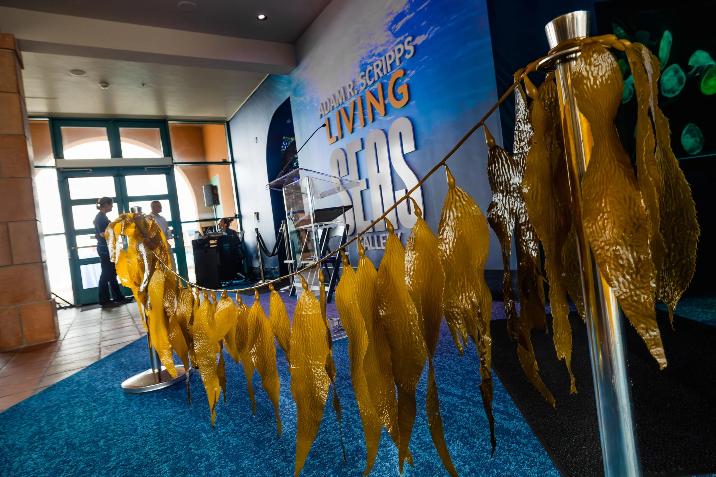 KelpCutting2025-103.jpg
