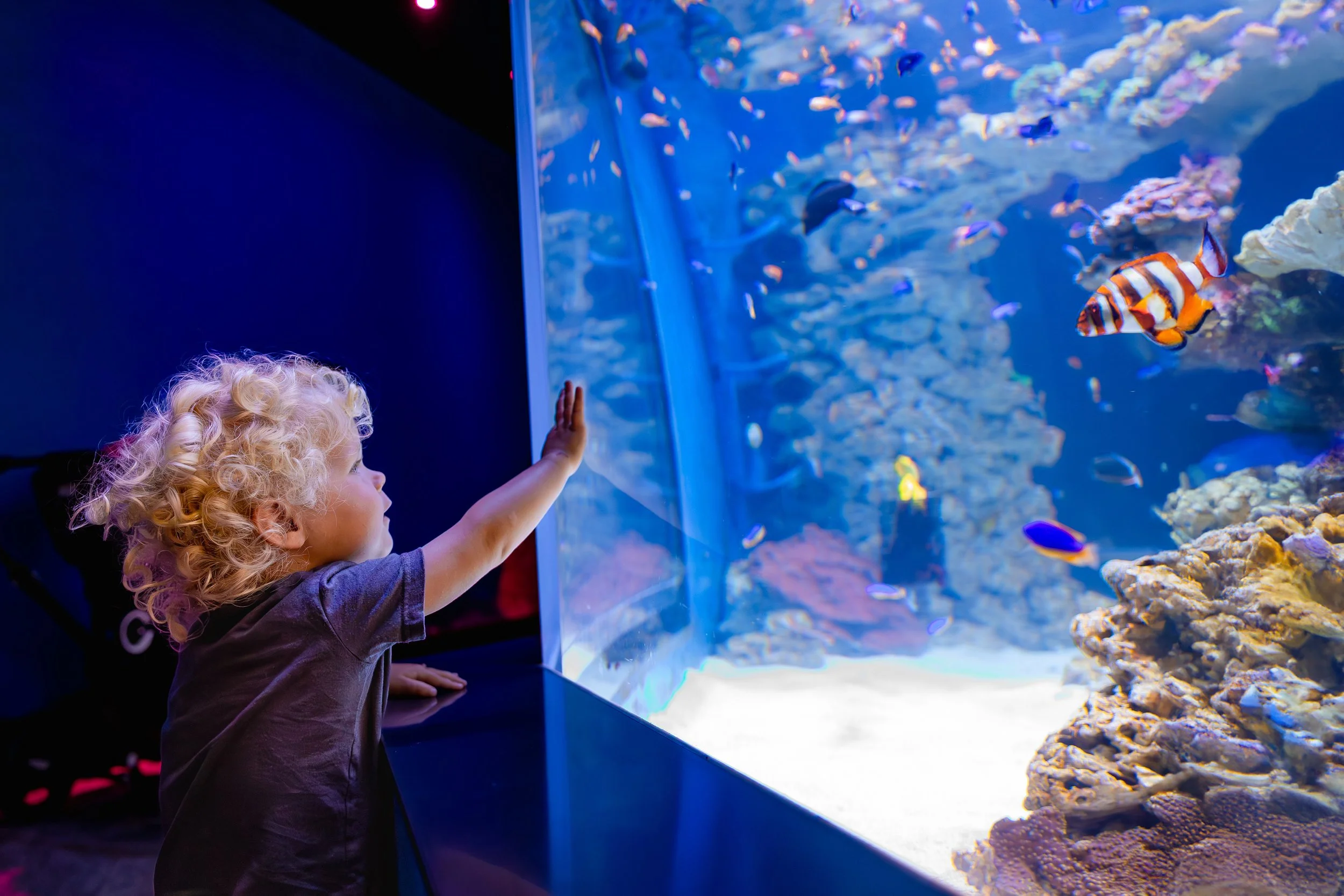 LivingSeas-May2025-412.jpg