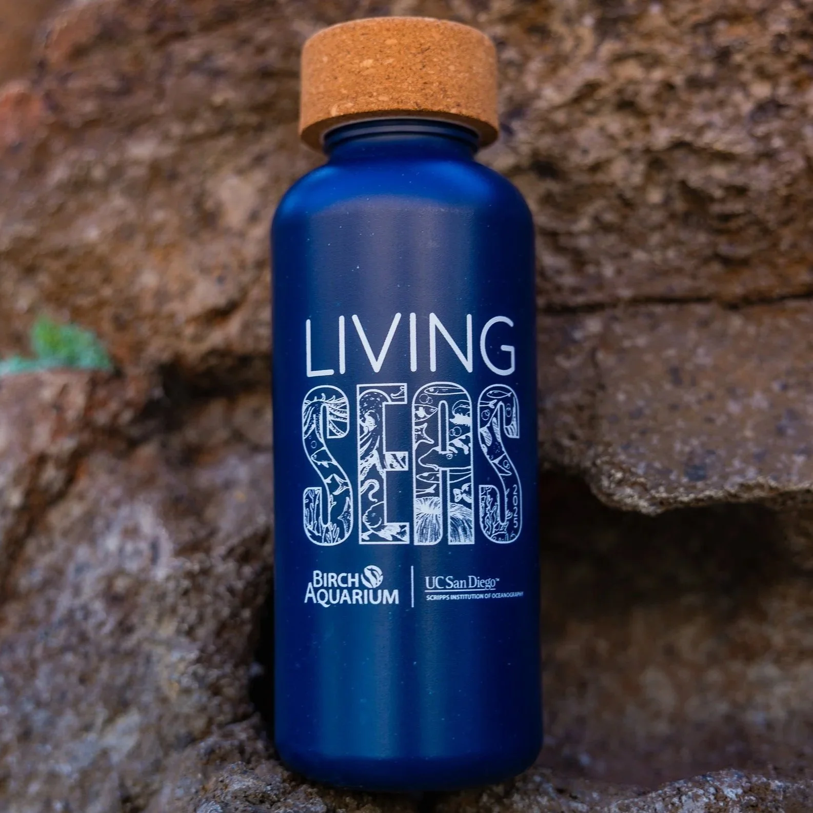 LivingSeas-Swag-102.jpg