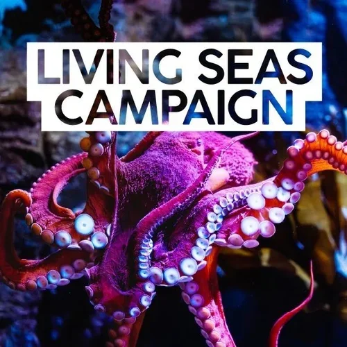 Living+Seas.webp