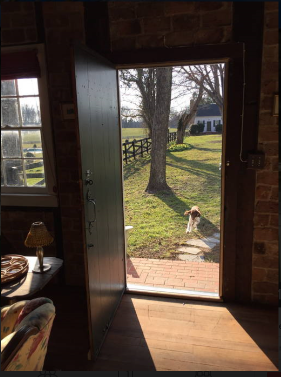 cottage door with dog.png