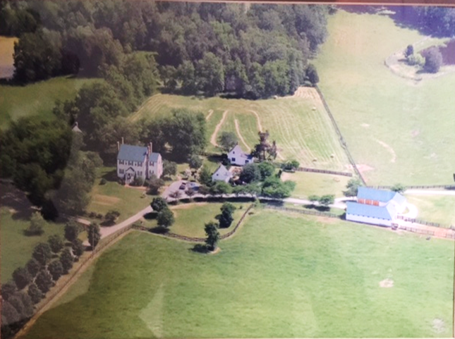 aerial view.png
