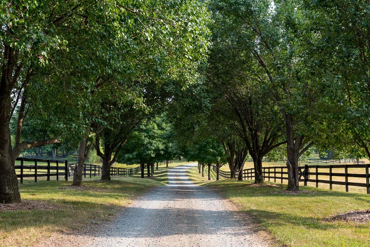 002-GreenSprings13web.jpg