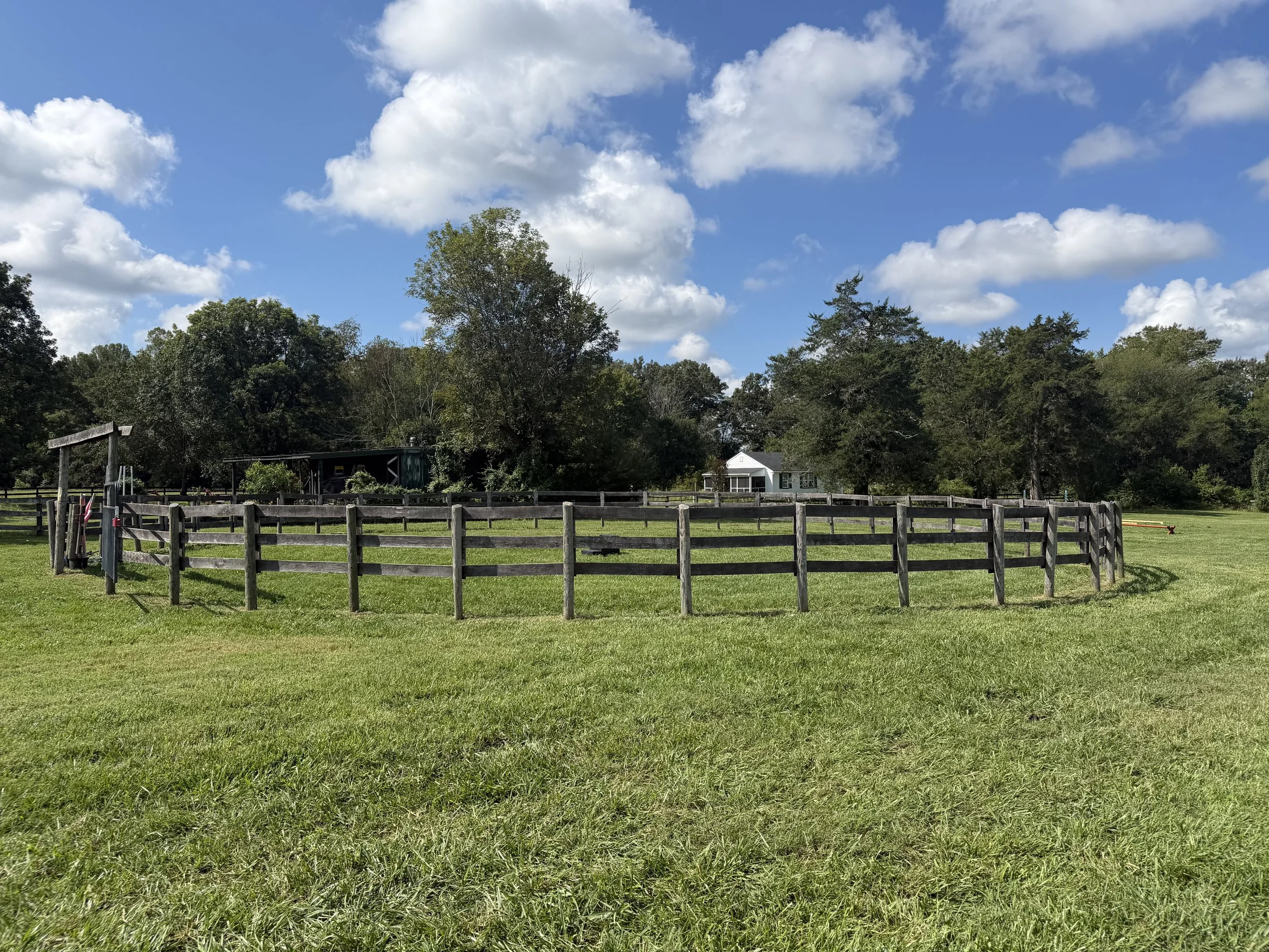 IMG_2591.jpeg