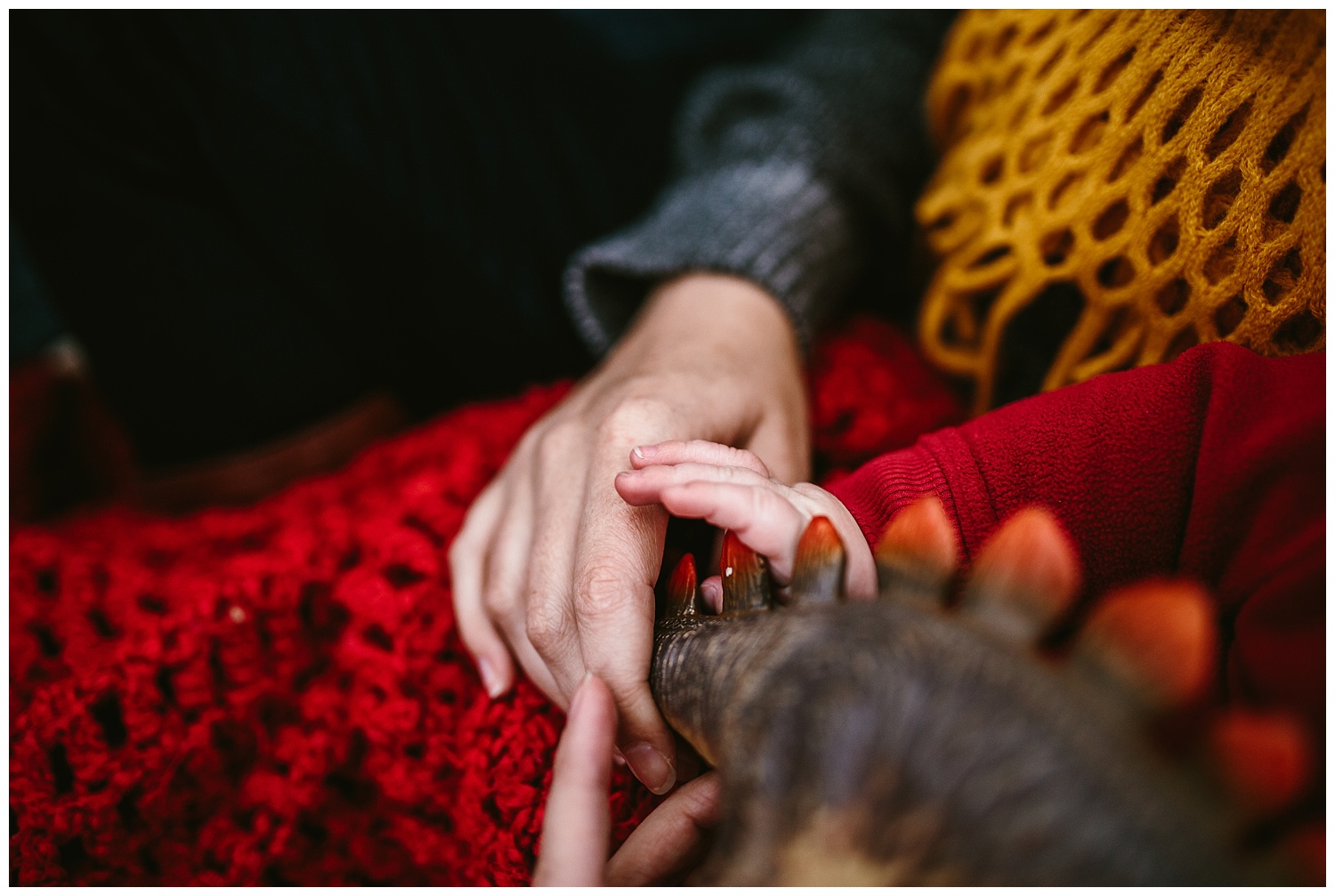 lifestyle family photographers.jpg