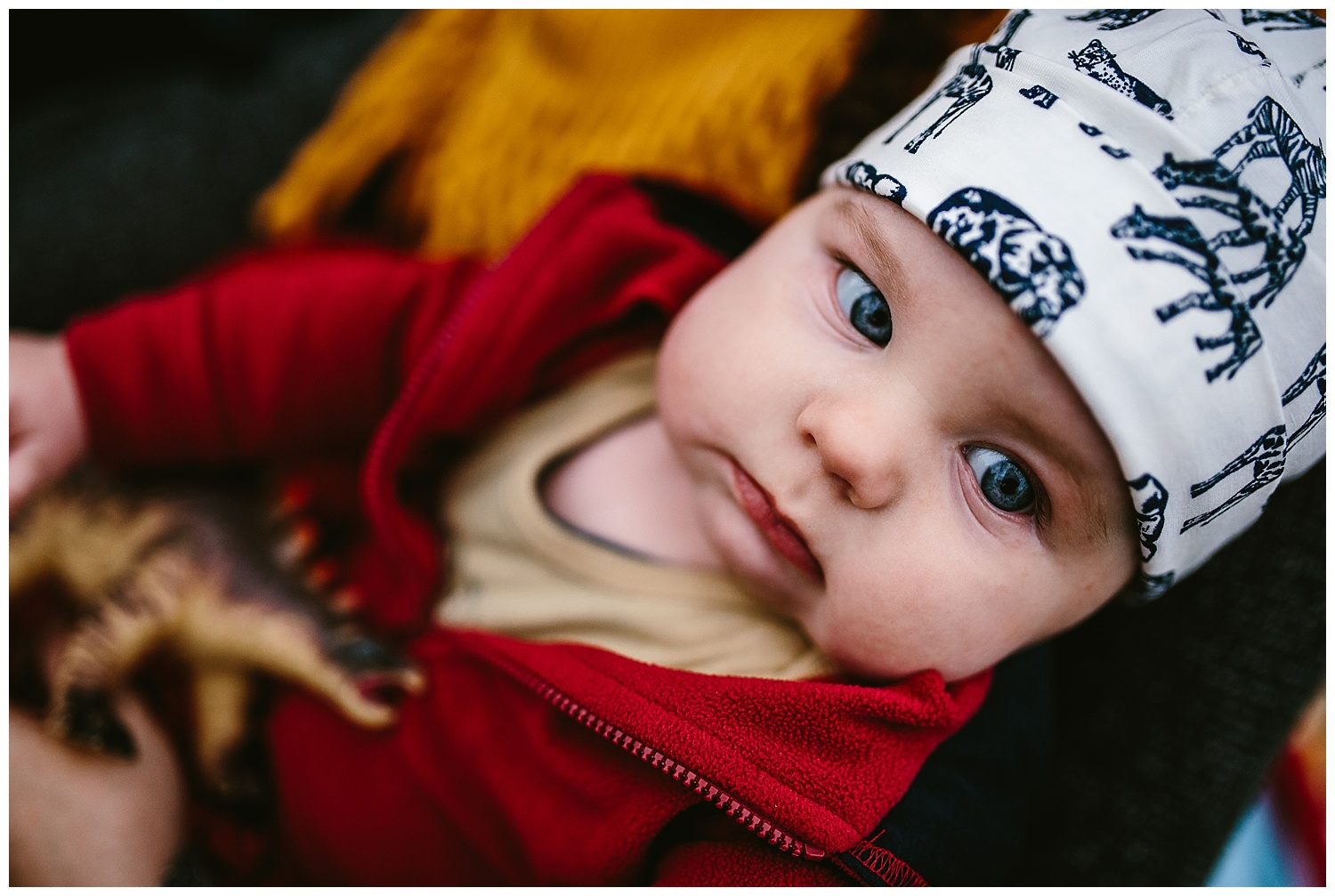 lifestyle family photography.jpg