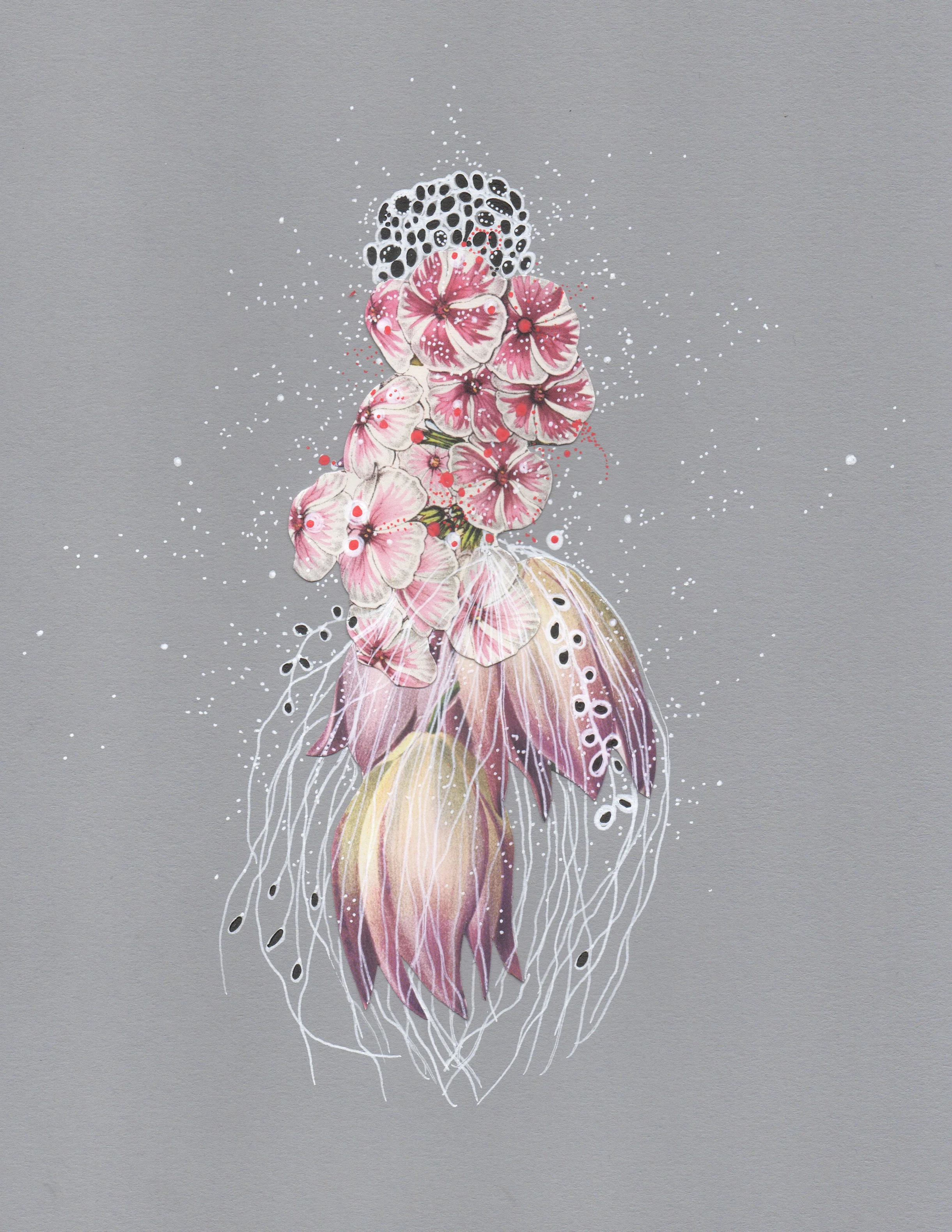Snow Phlox Jellyfish, pen, ink &amp; collage by Jenny Brown