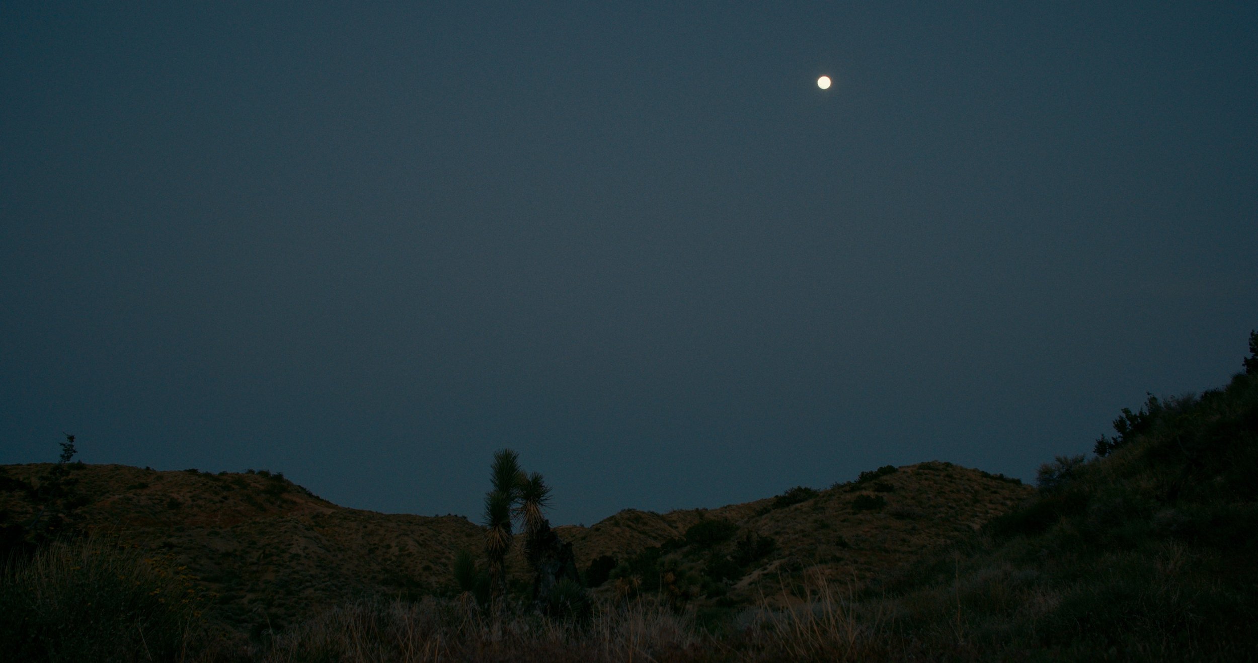 the-border-between-short-film-moon.jpeg