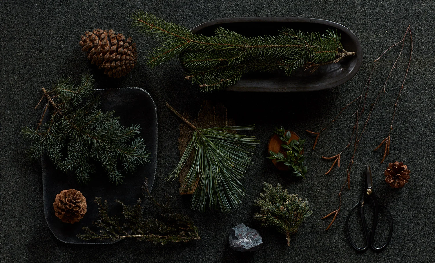 Botanicals_1.jpg