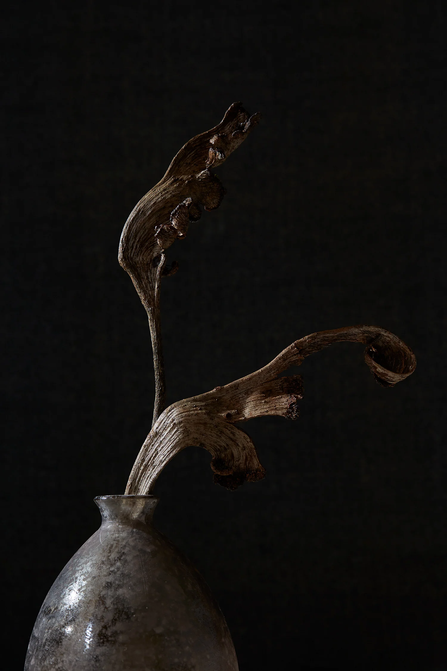 Botanicals_2.jpg