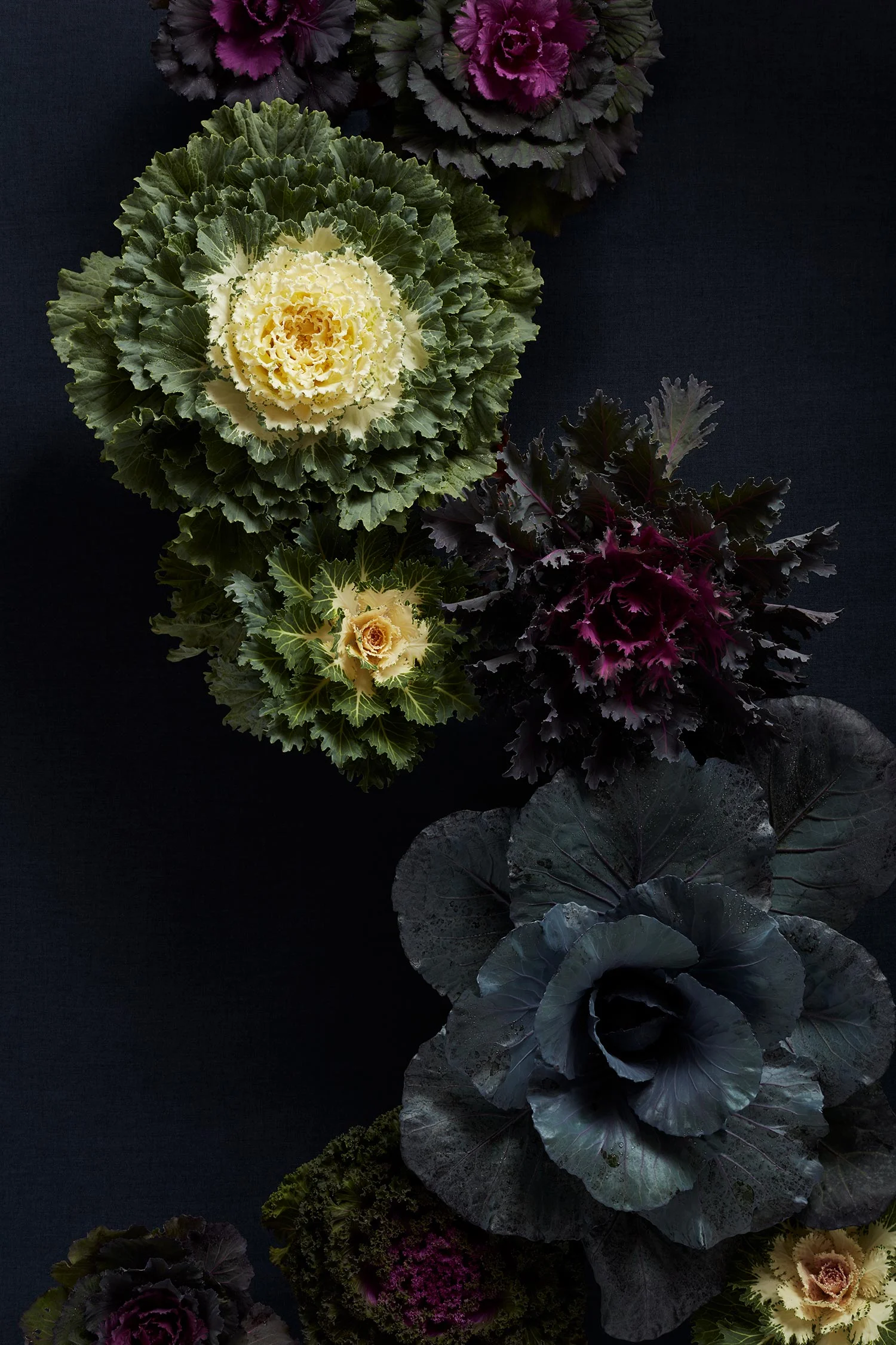 Fall_Greens.jpg