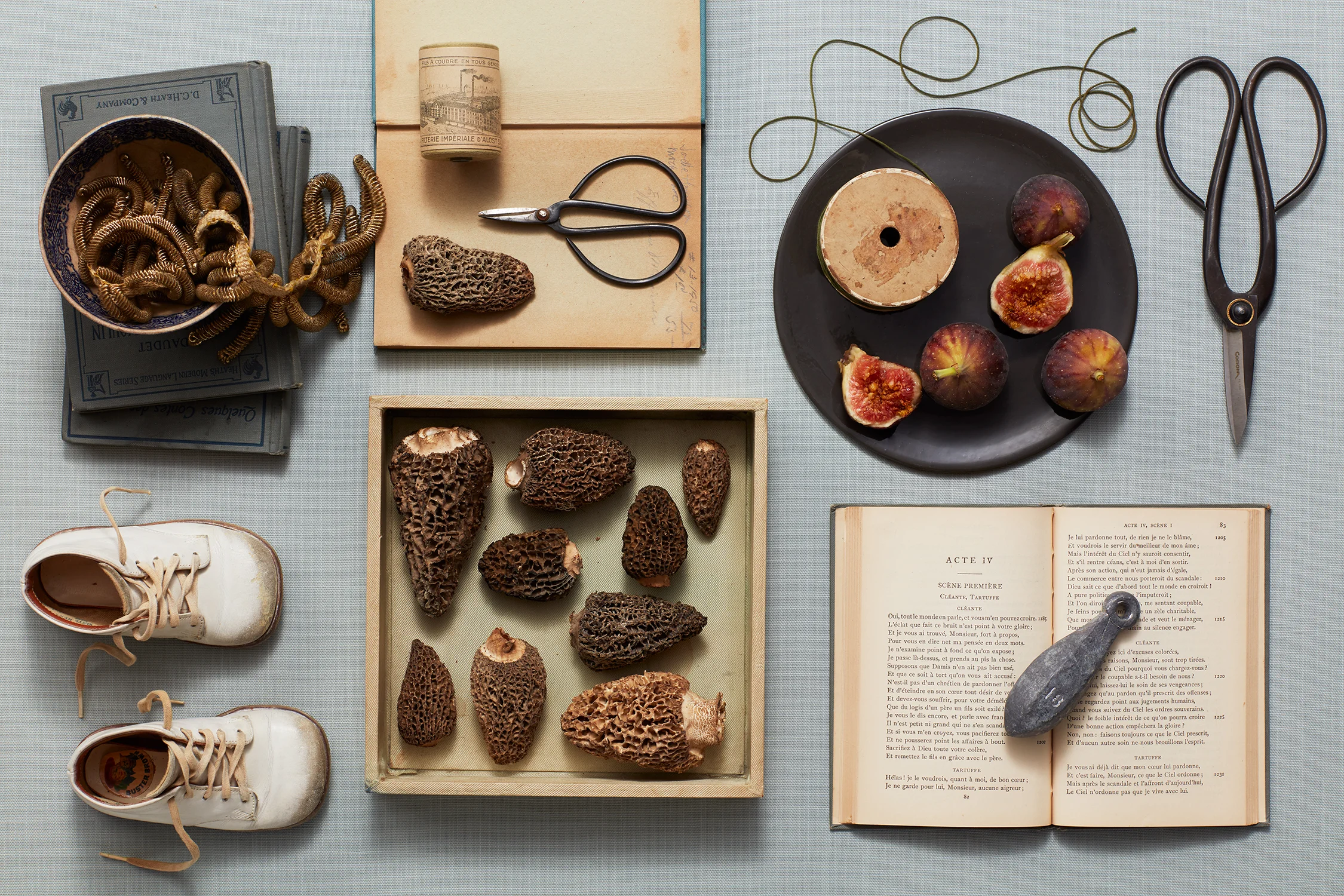 still life