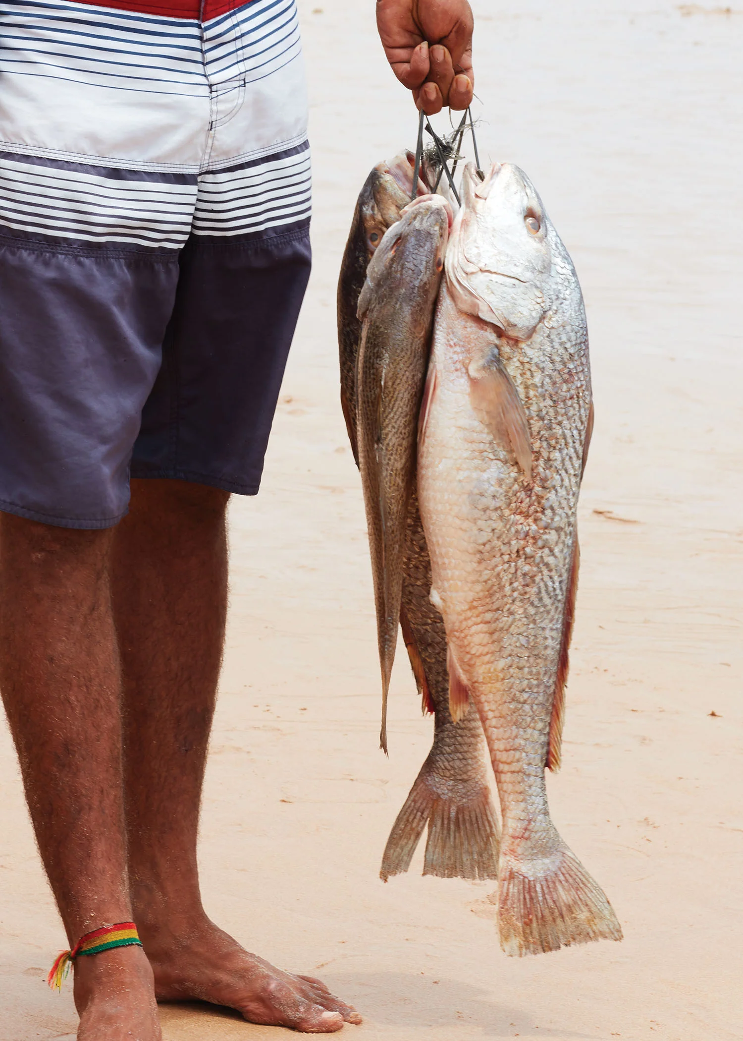 Fisherman