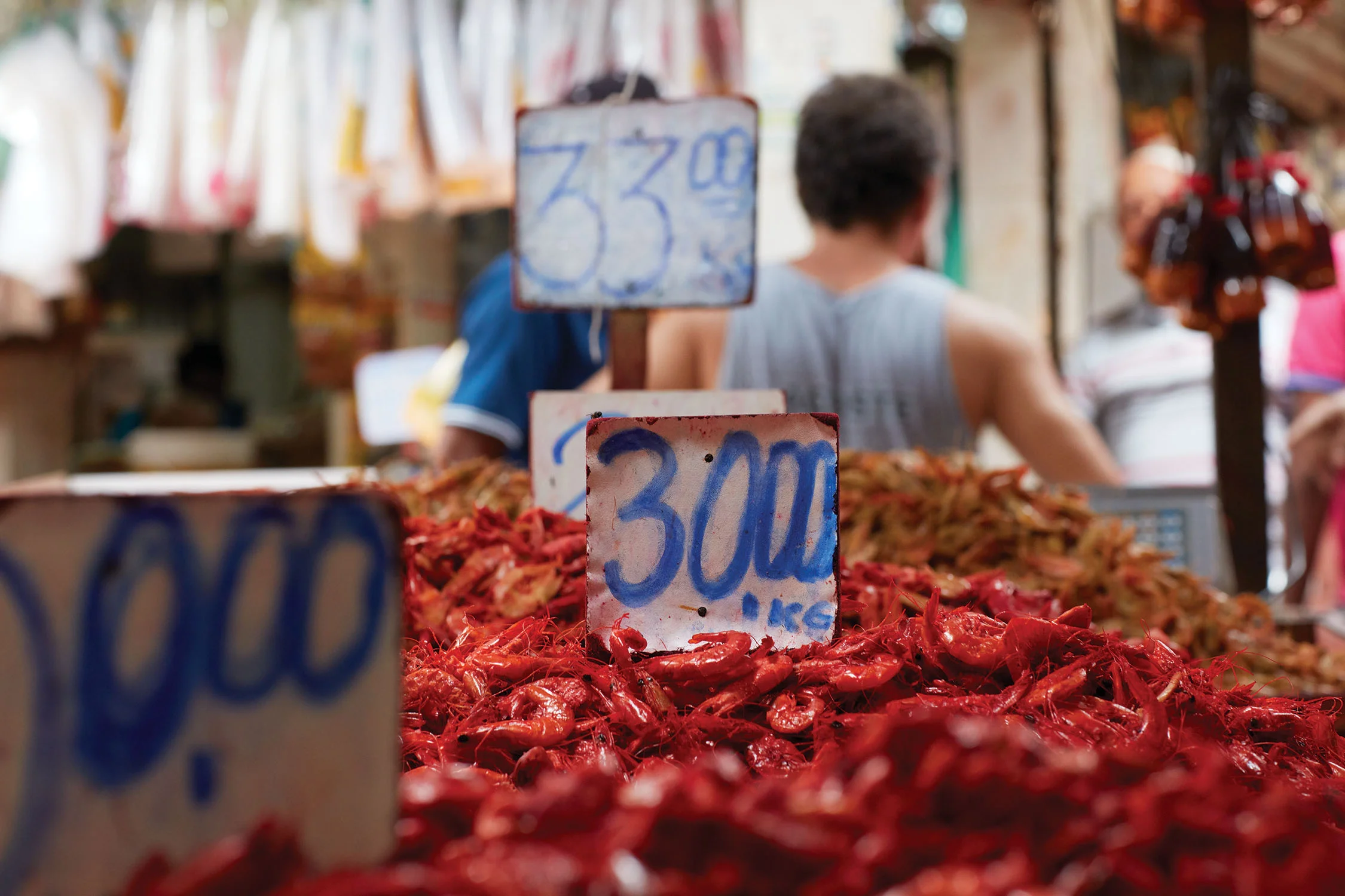 Dry shrimp