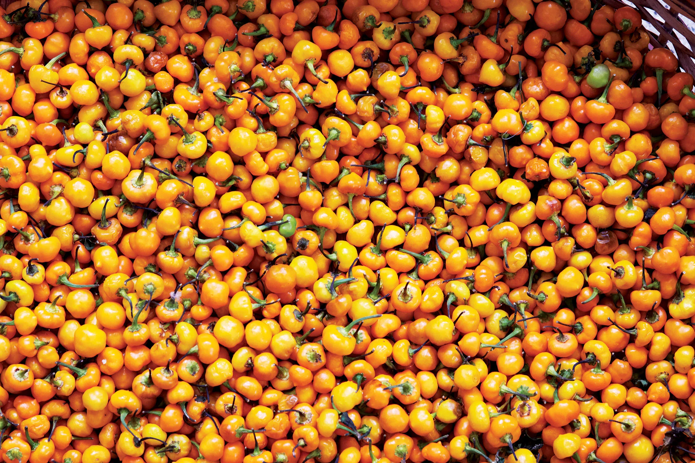 Peppers