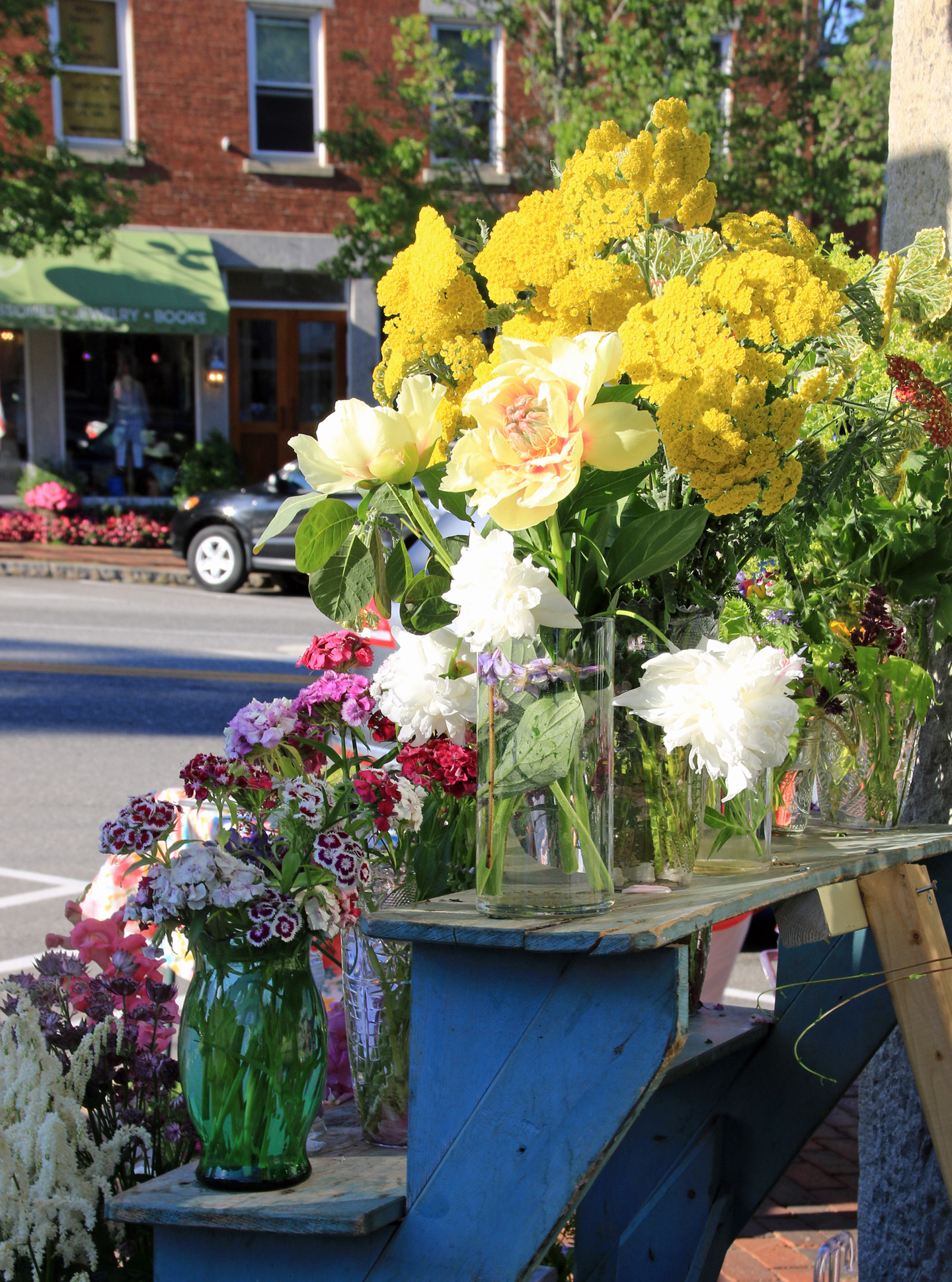 Garden Club of Wiscasset