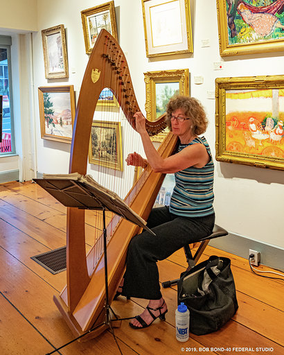 Suki Flanagan plays harp in the galleries. (Bob Bond photo)