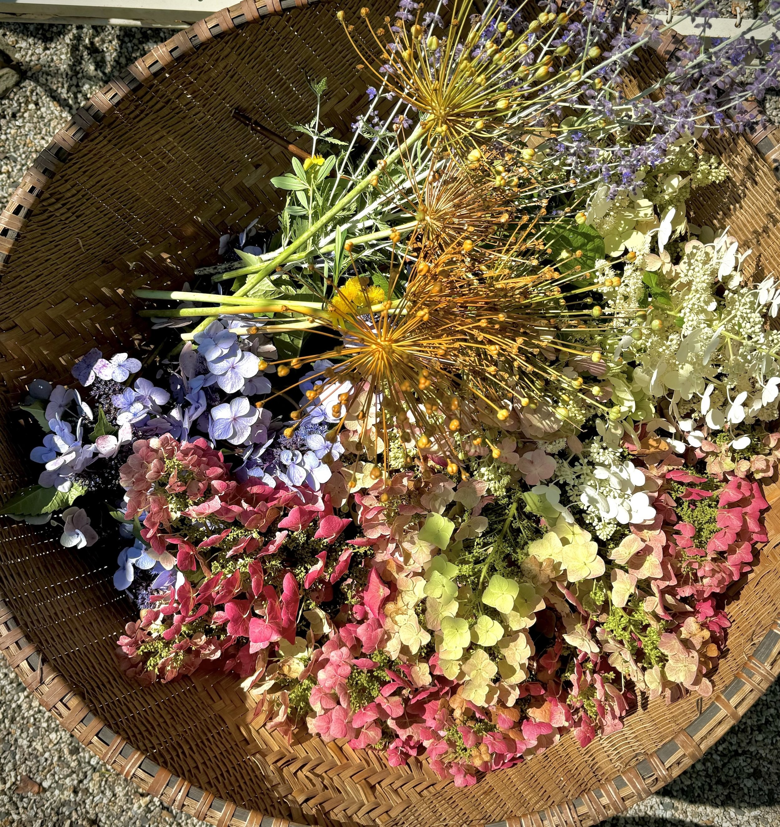 Floral Installation Graces the Sidewalk During WAW, Aug. 29