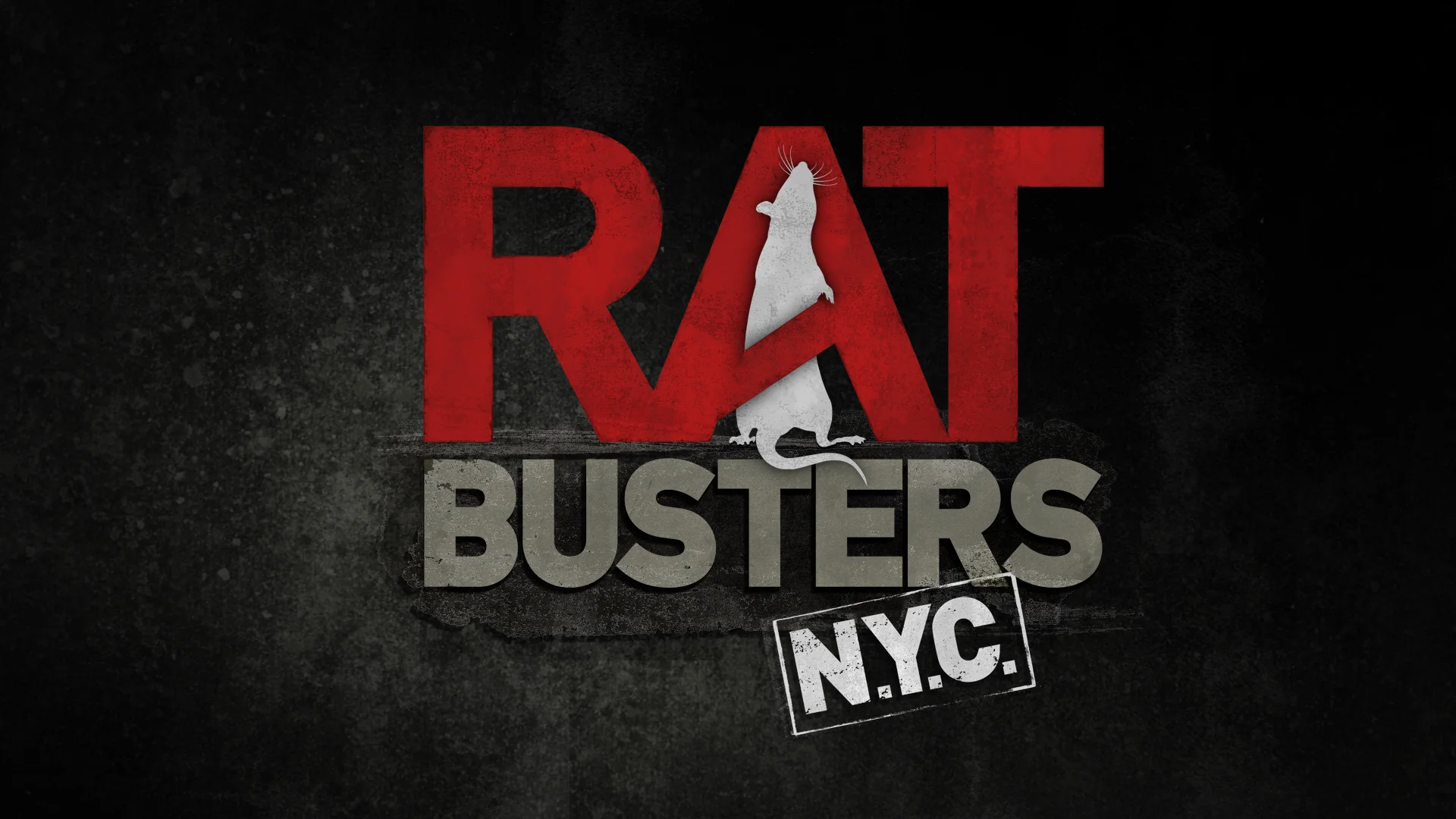 Rat Busters NYC: This Season On