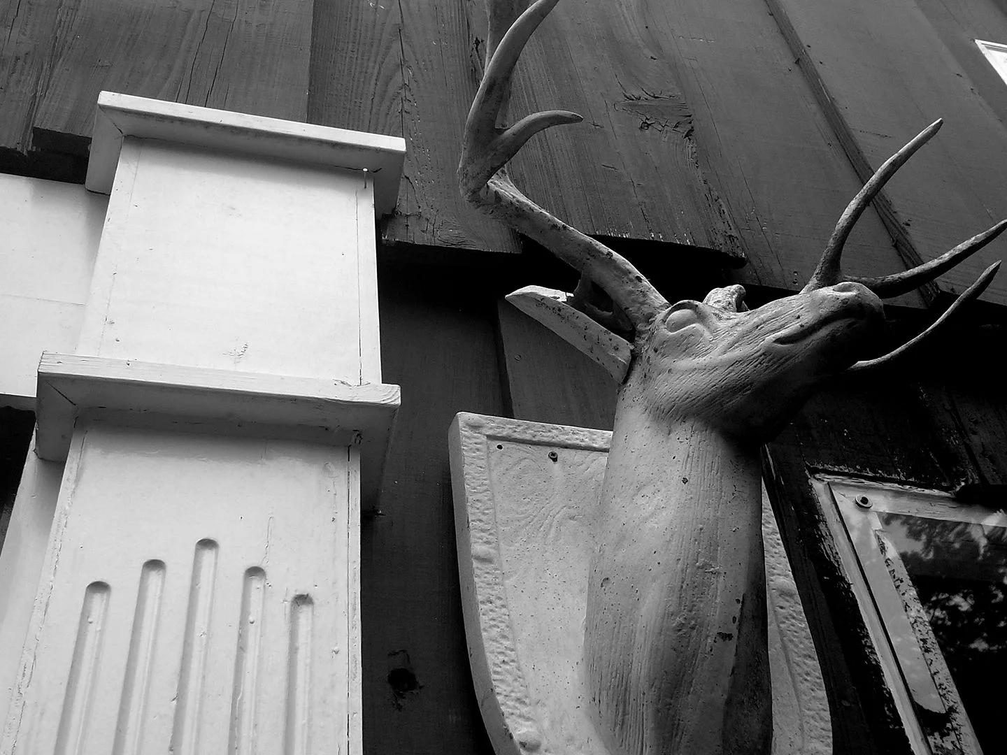 22467348_10208629431167717_3435733675887104851_o.jpg