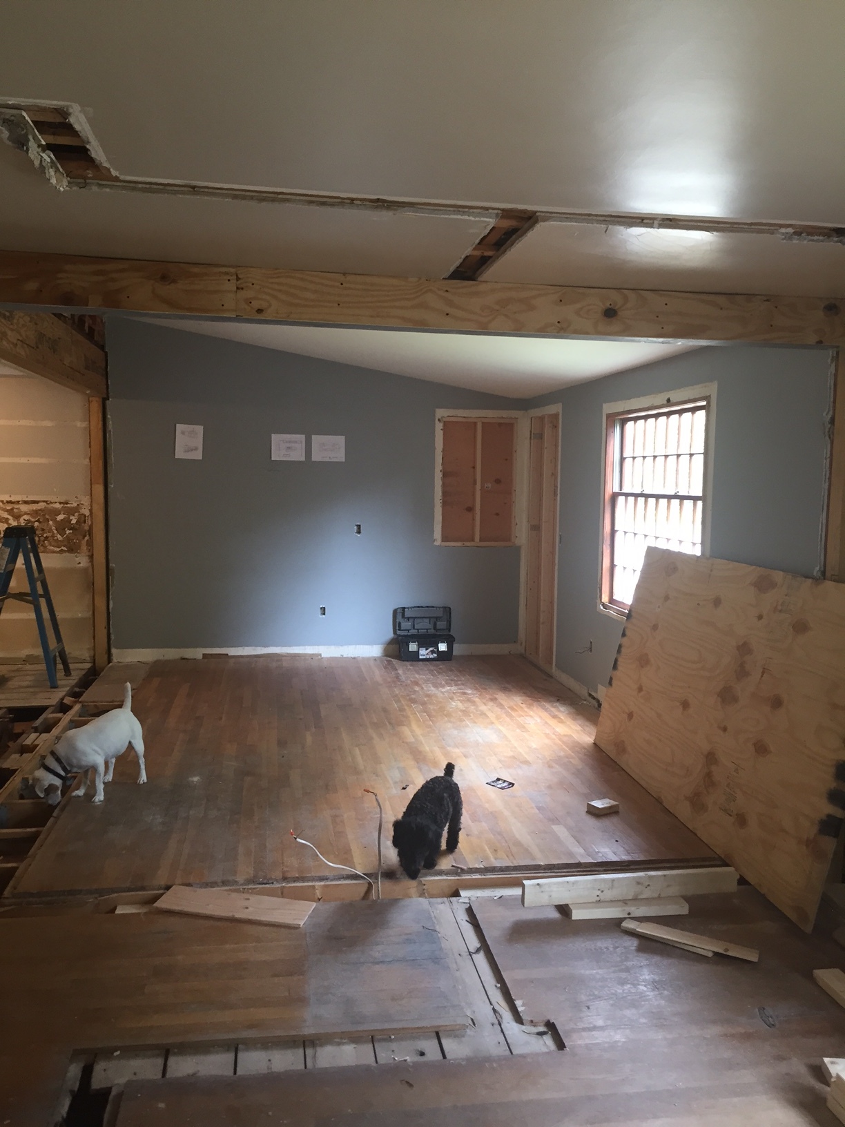 Wall was taken down and opened into what is now the new family room (from where pic was taken) and facing the kitchen 