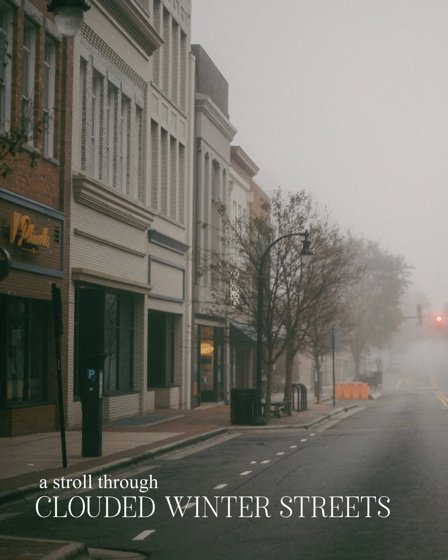 A fun fact about me is that I FREAK OUT over fog. Can you have a favorite weather condition..? Cause fog is definitely mine. 🌫️ 

So of course when I saw there was frozen fog on Sunday morning, I went for an early walk around my neighborhood and dow