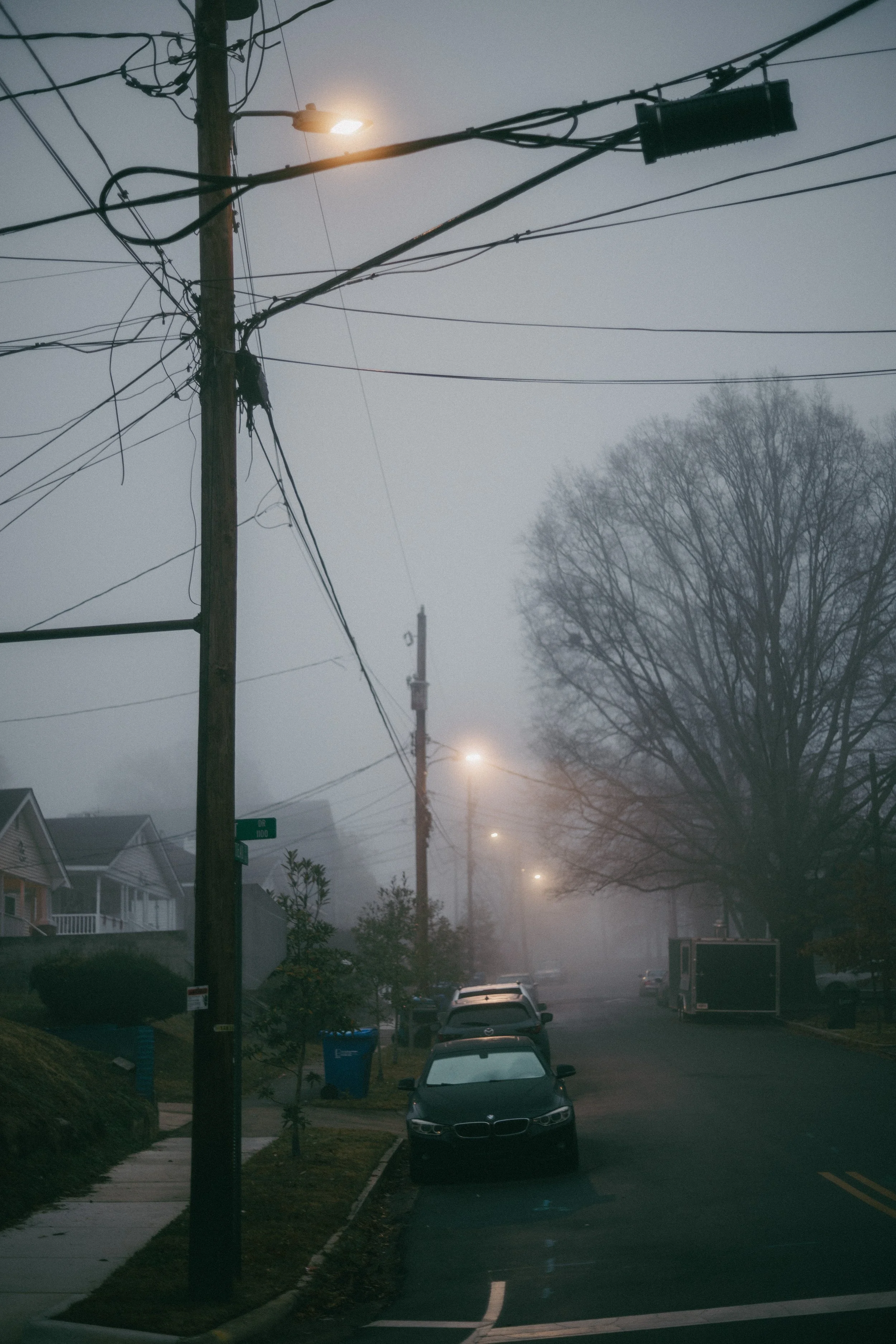 Frozen Fog 2025-3.jpg