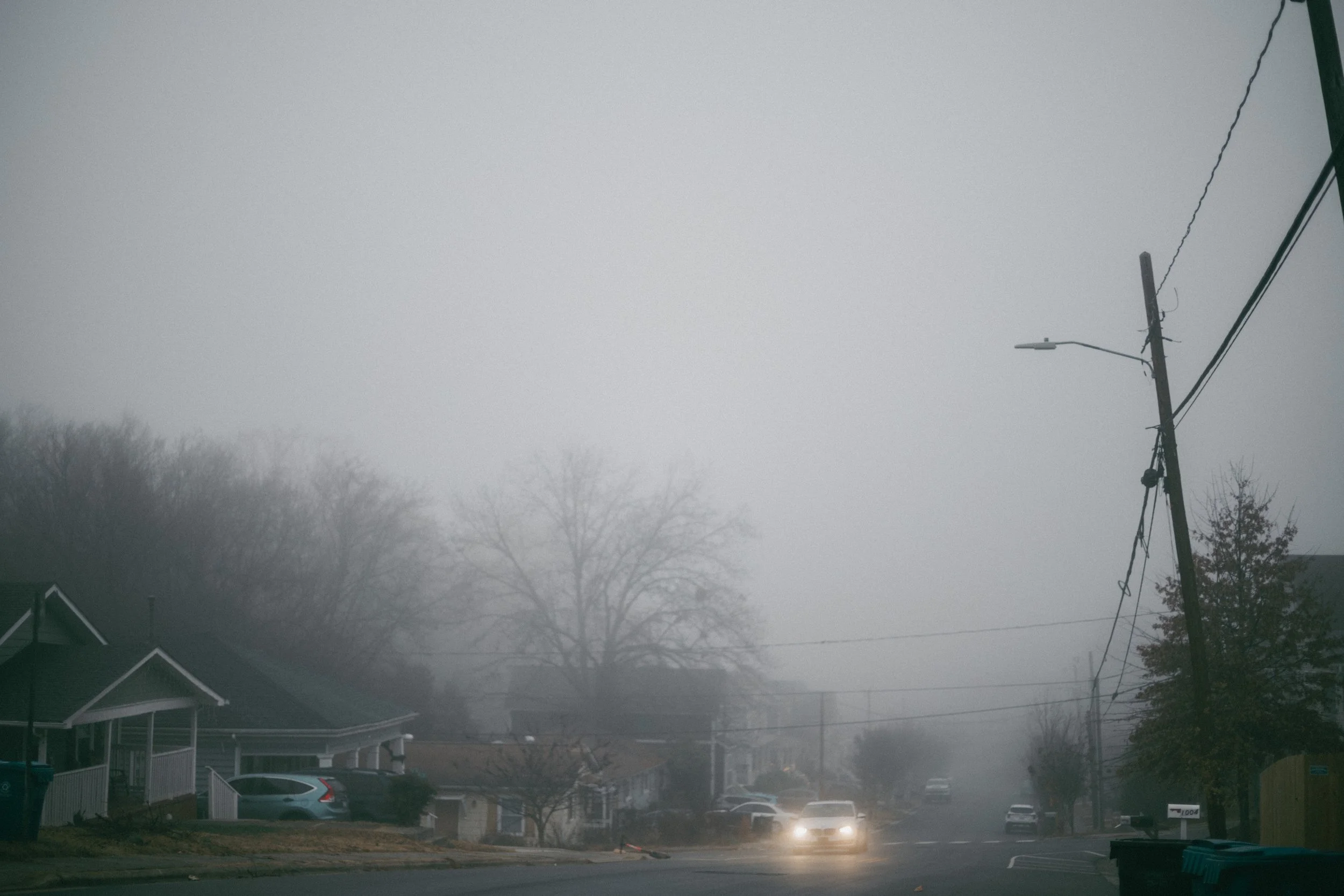 Frozen Fog 2025-14.jpg