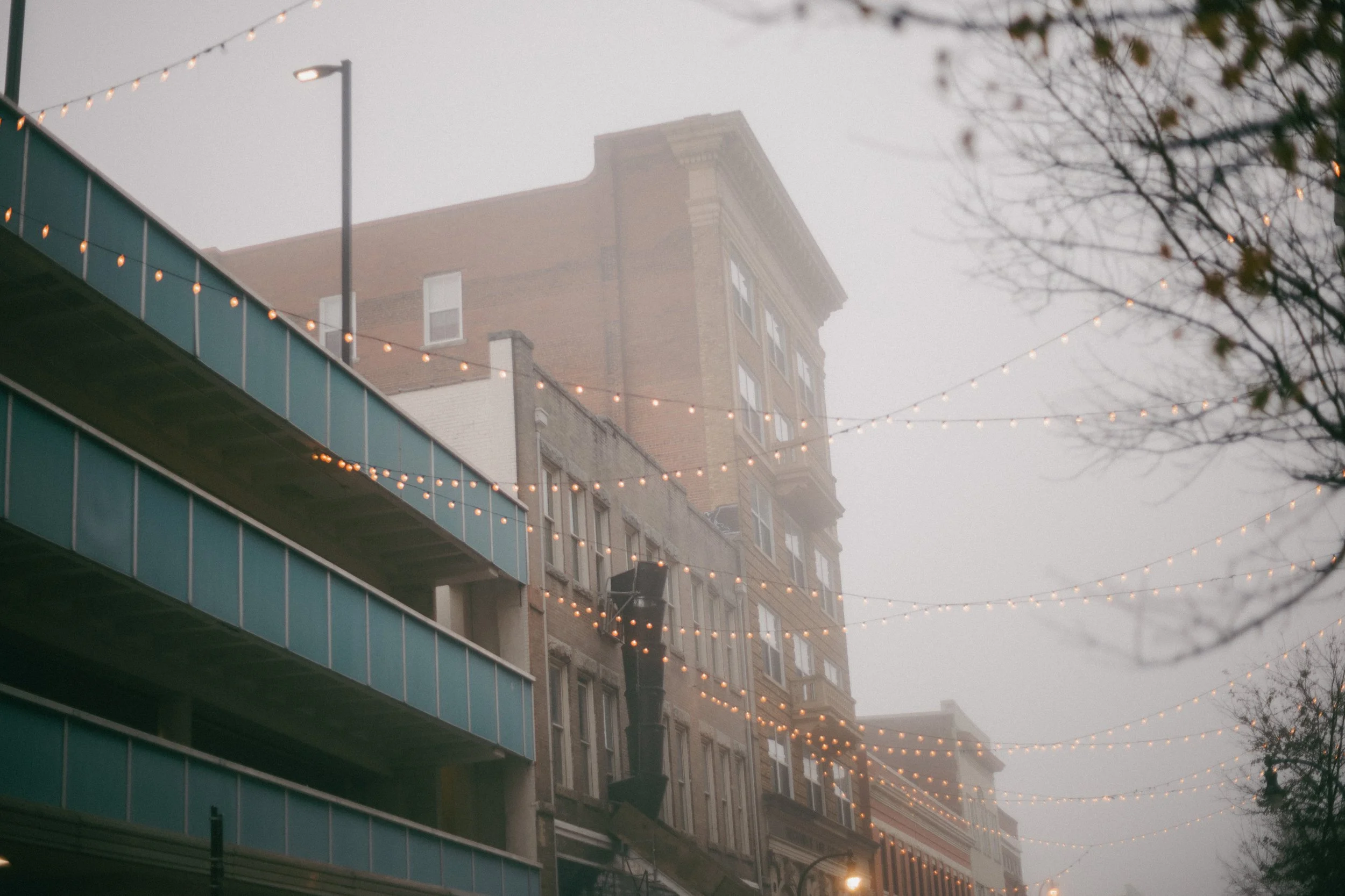 Frozen Fog 2025-21.jpg
