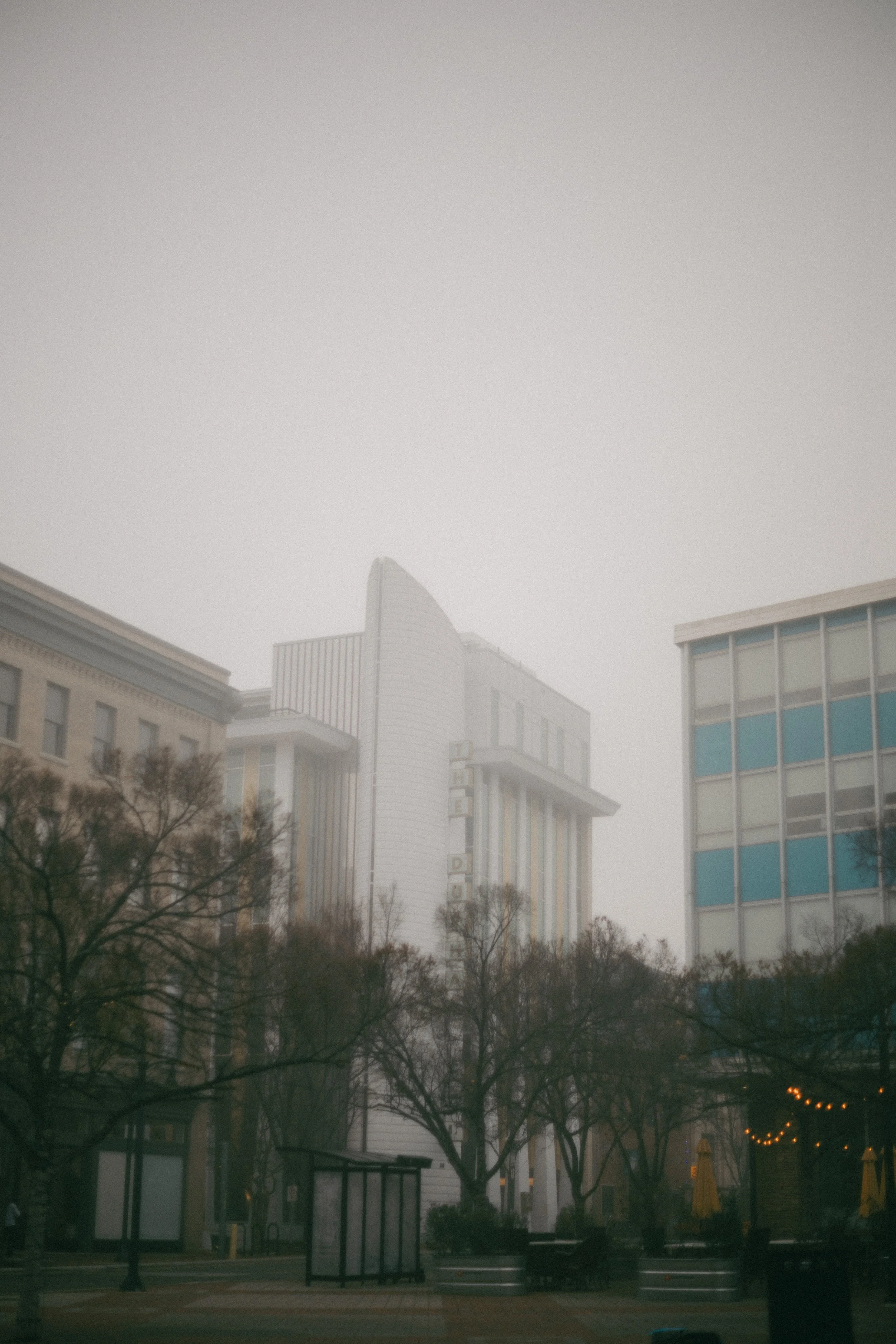 Frozen Fog 2025-28.jpg