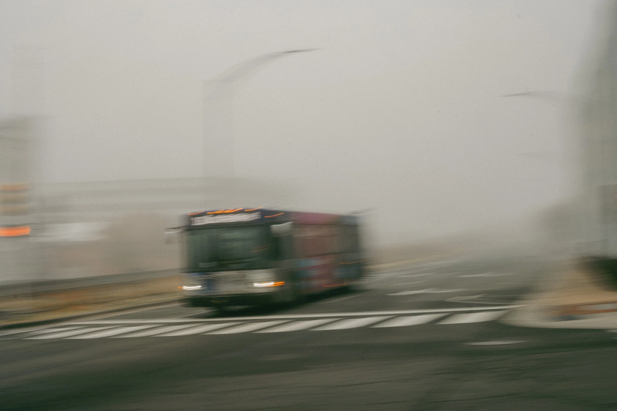 Frozen Fog 2025-37.jpg